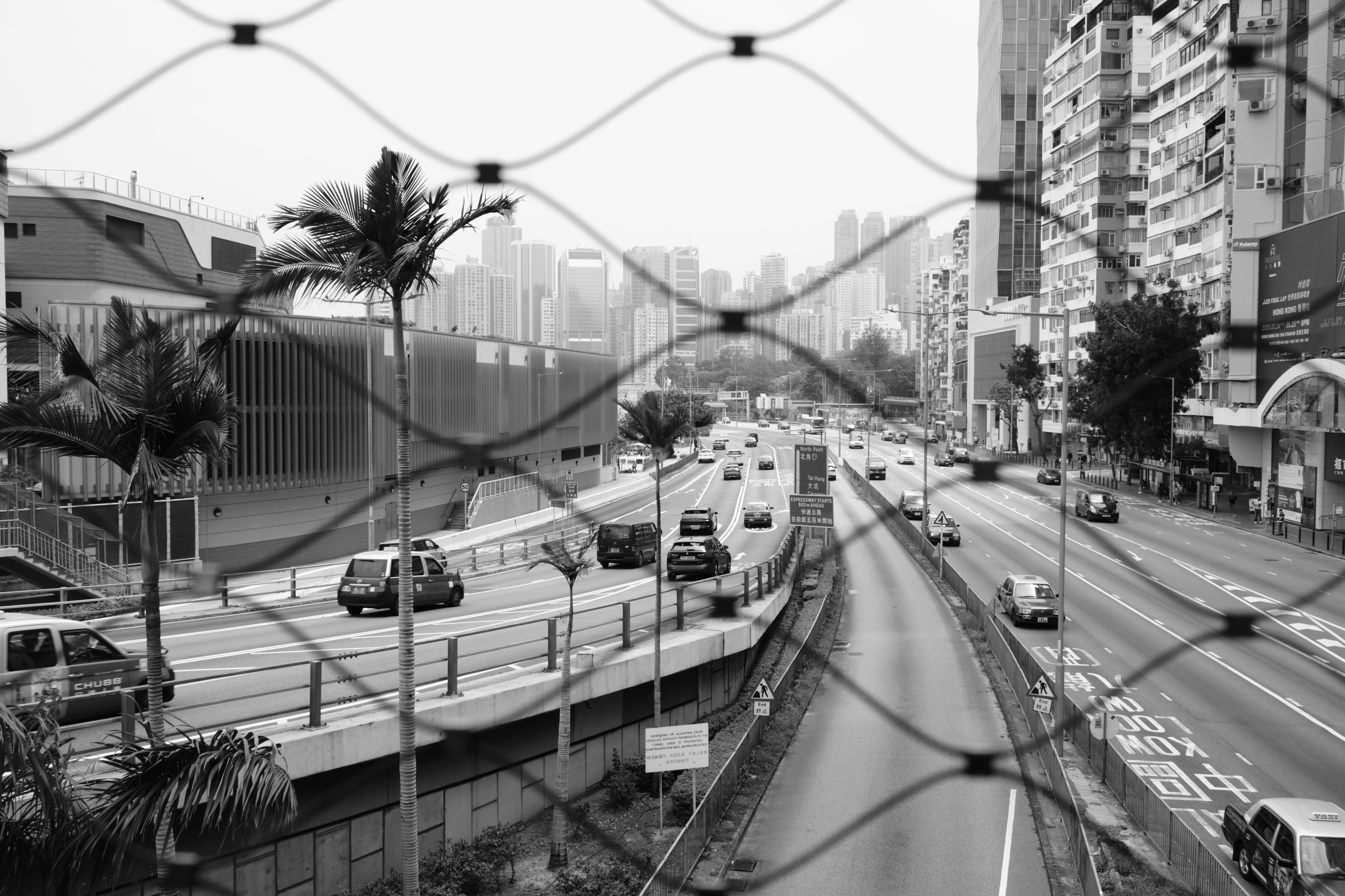 Black and white view of city traffic through a fence.