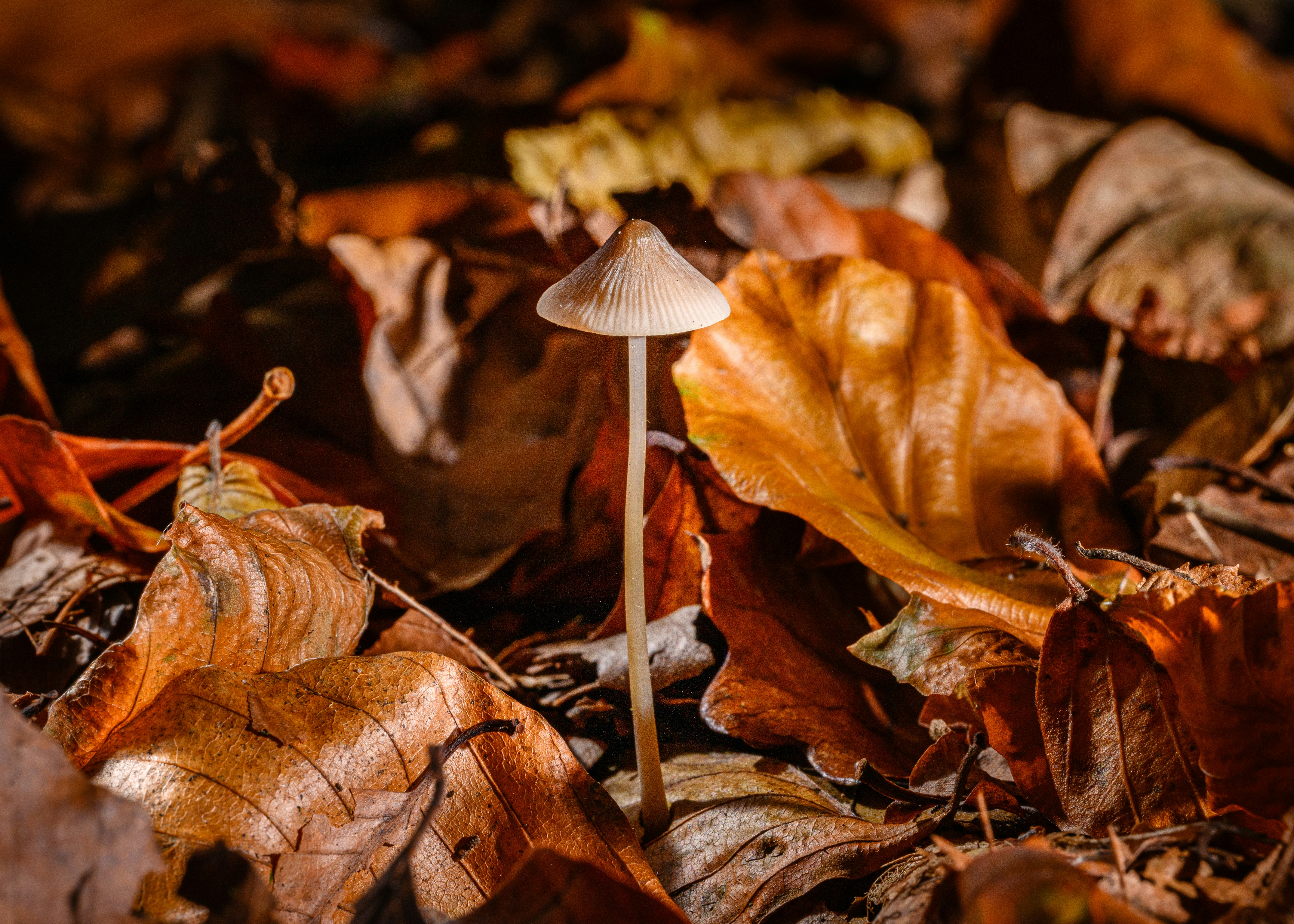 Photo by joanna_stolowicz