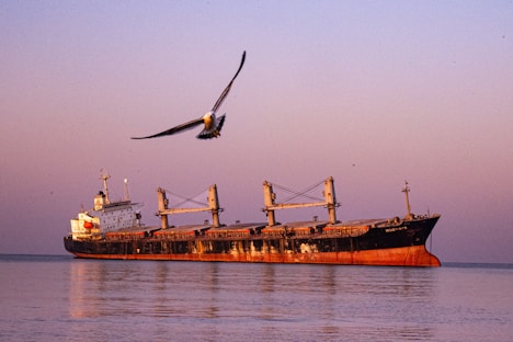 Cargo ship sails on calm water with bird flying.