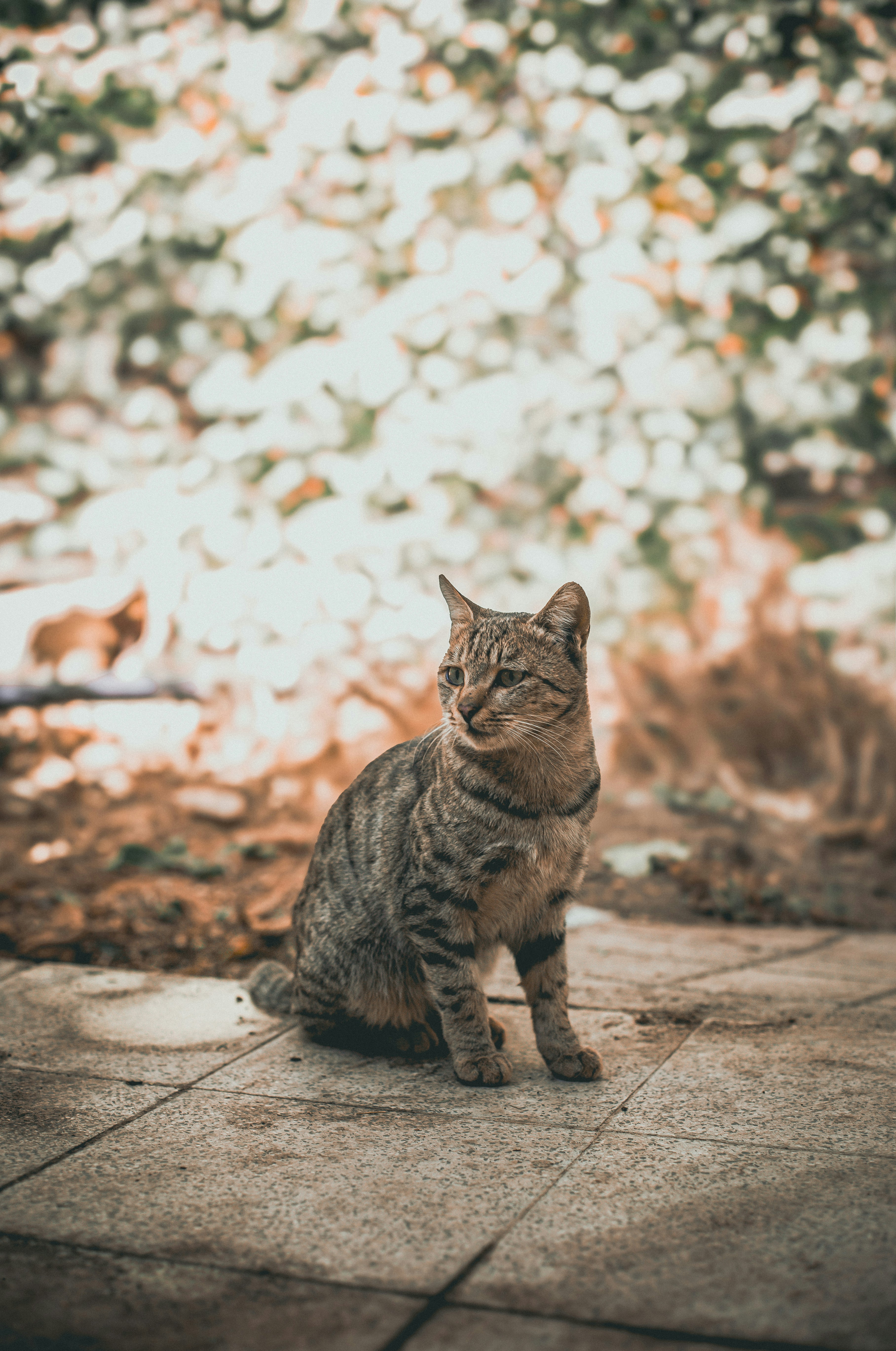 Photo by hossein_hosseini