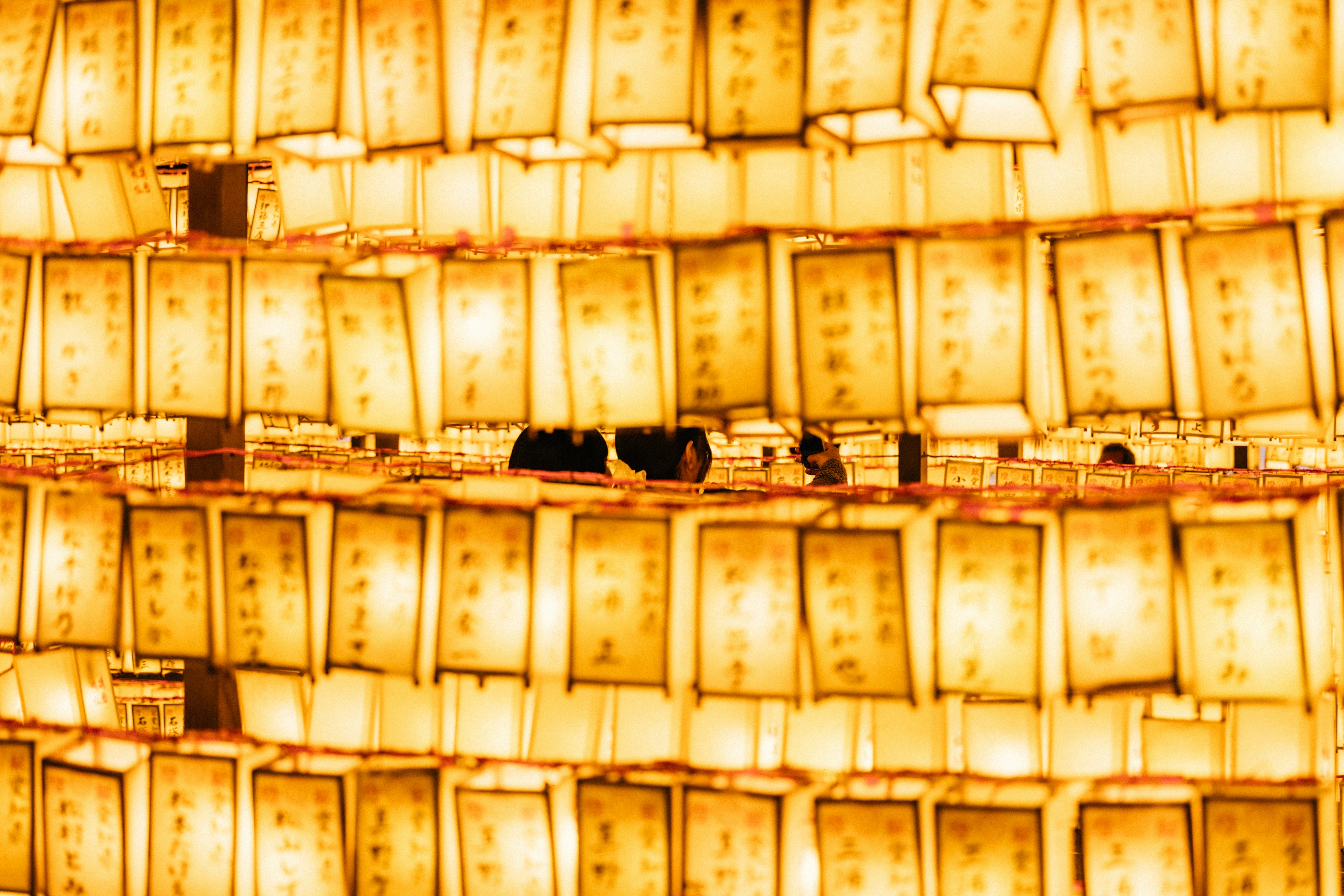 photo-1760618658877-b9f37d657fe8