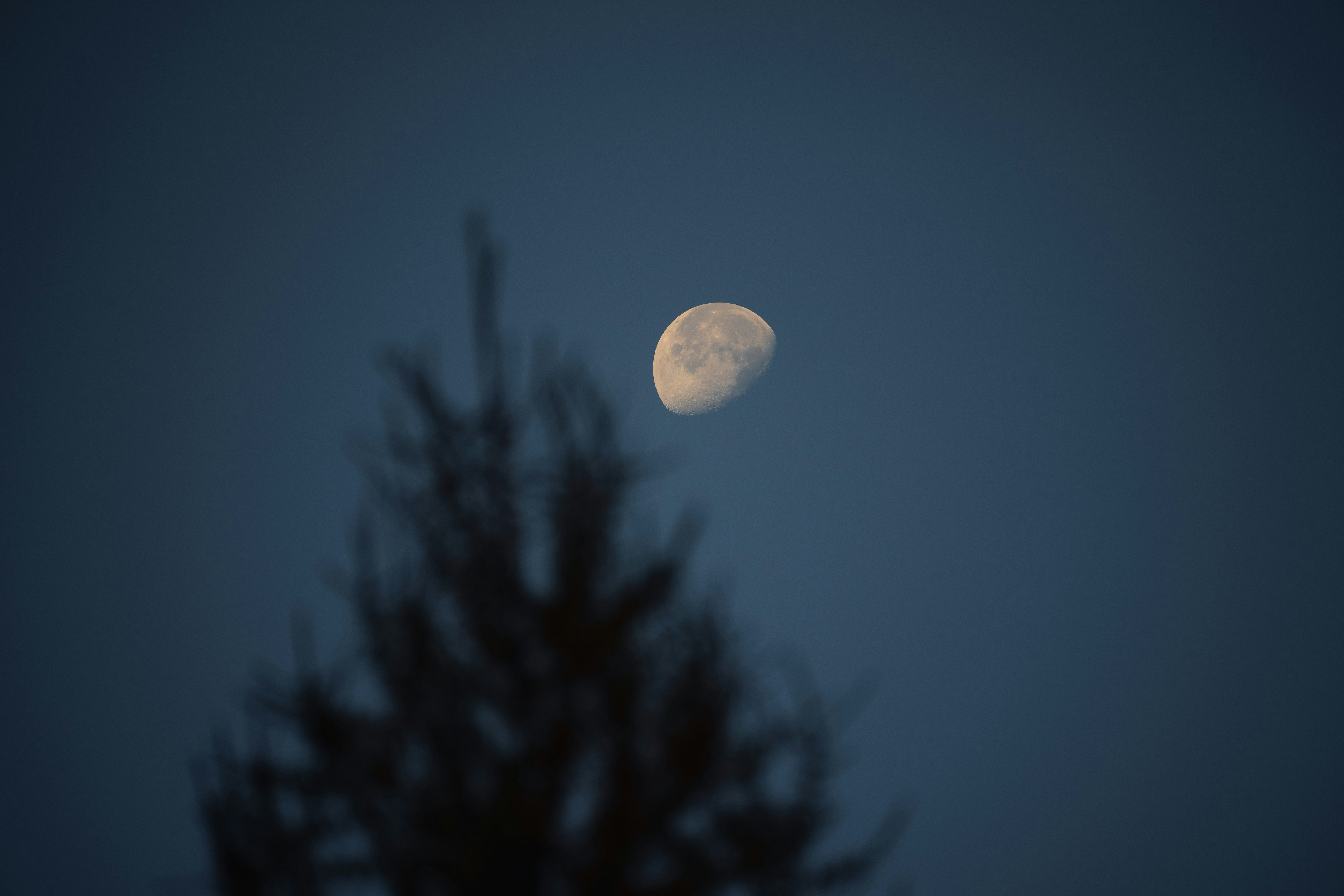 Photo by philipp_dice