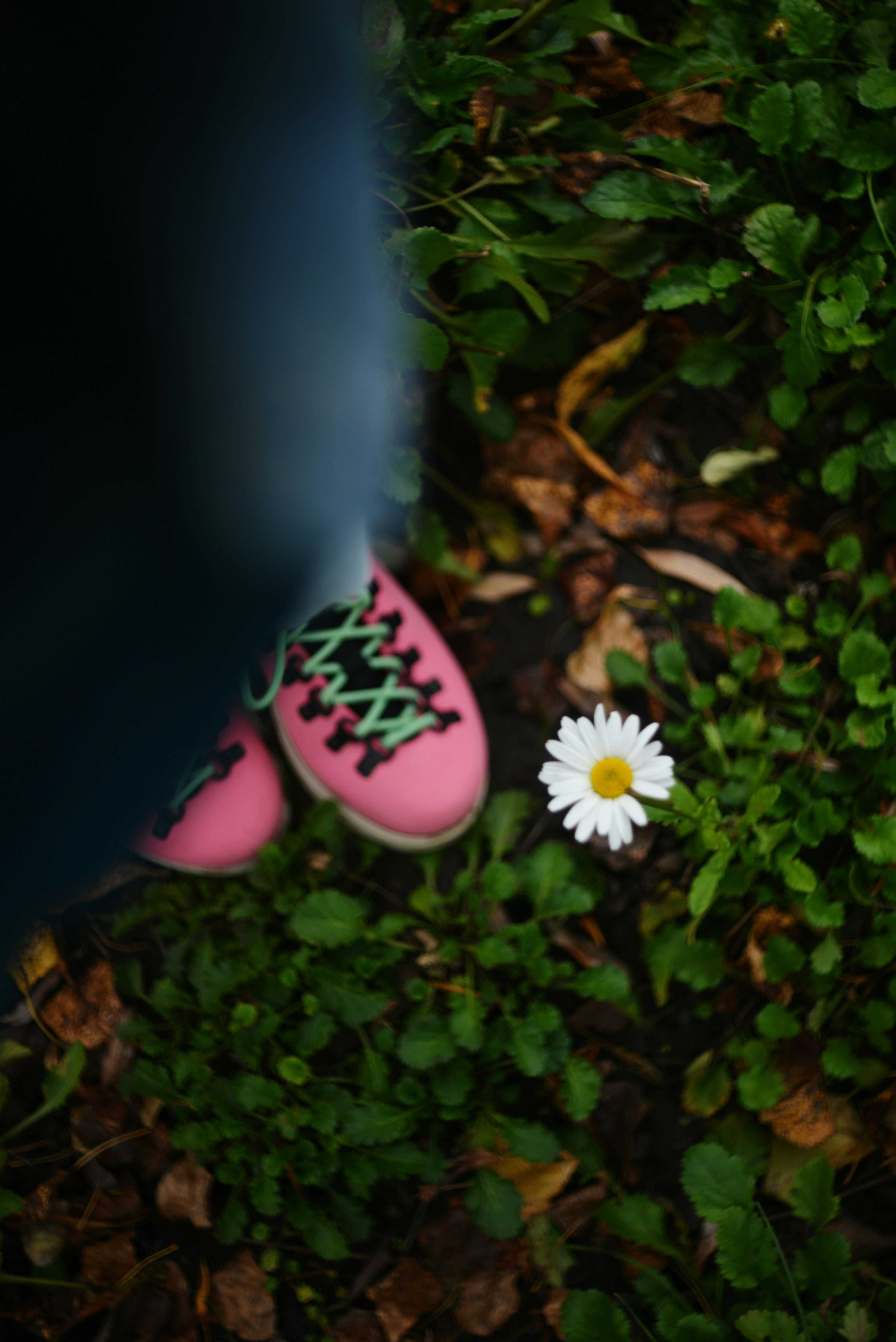 Photo by cherstve_pechivo
