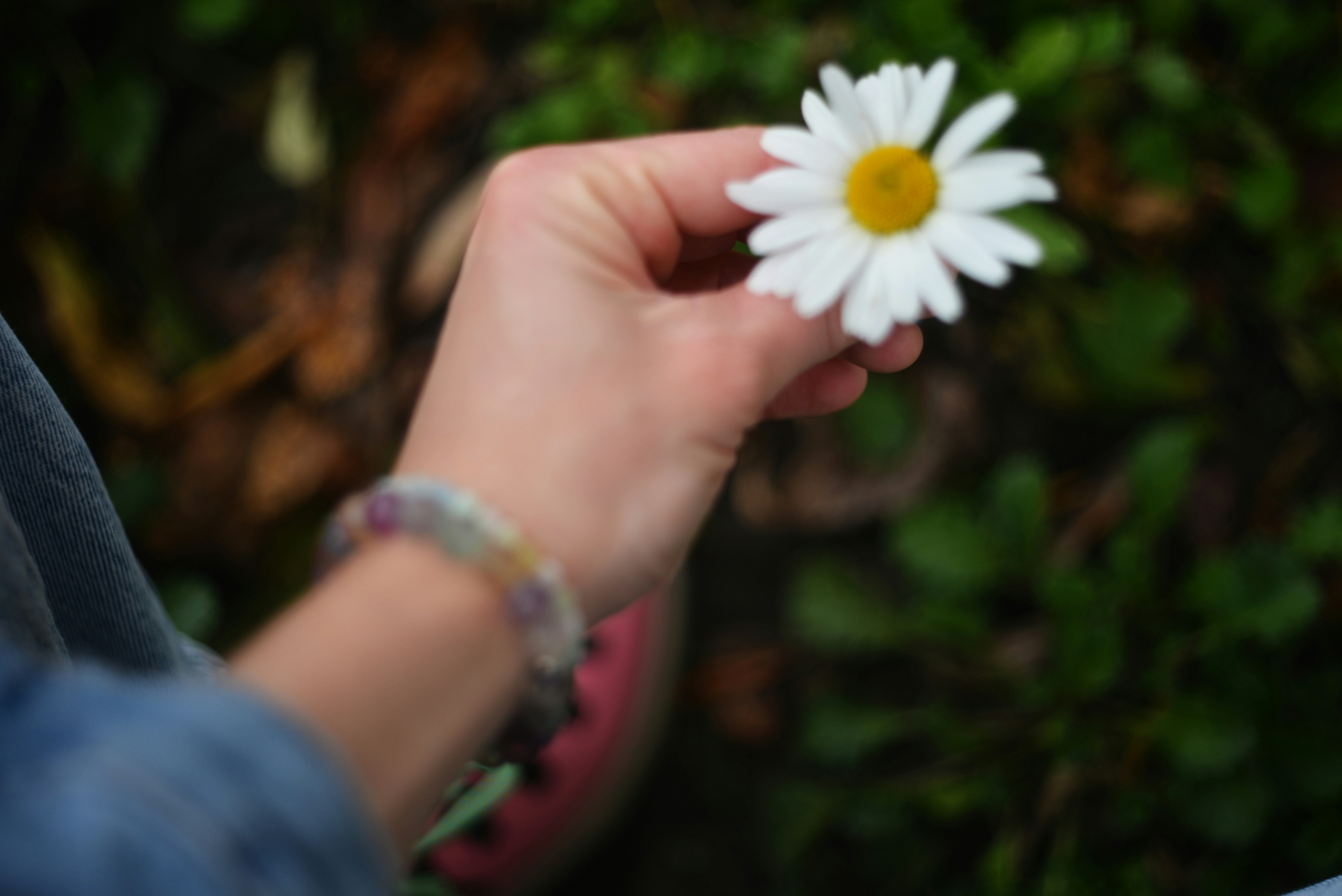 Photo by cherstve_pechivo