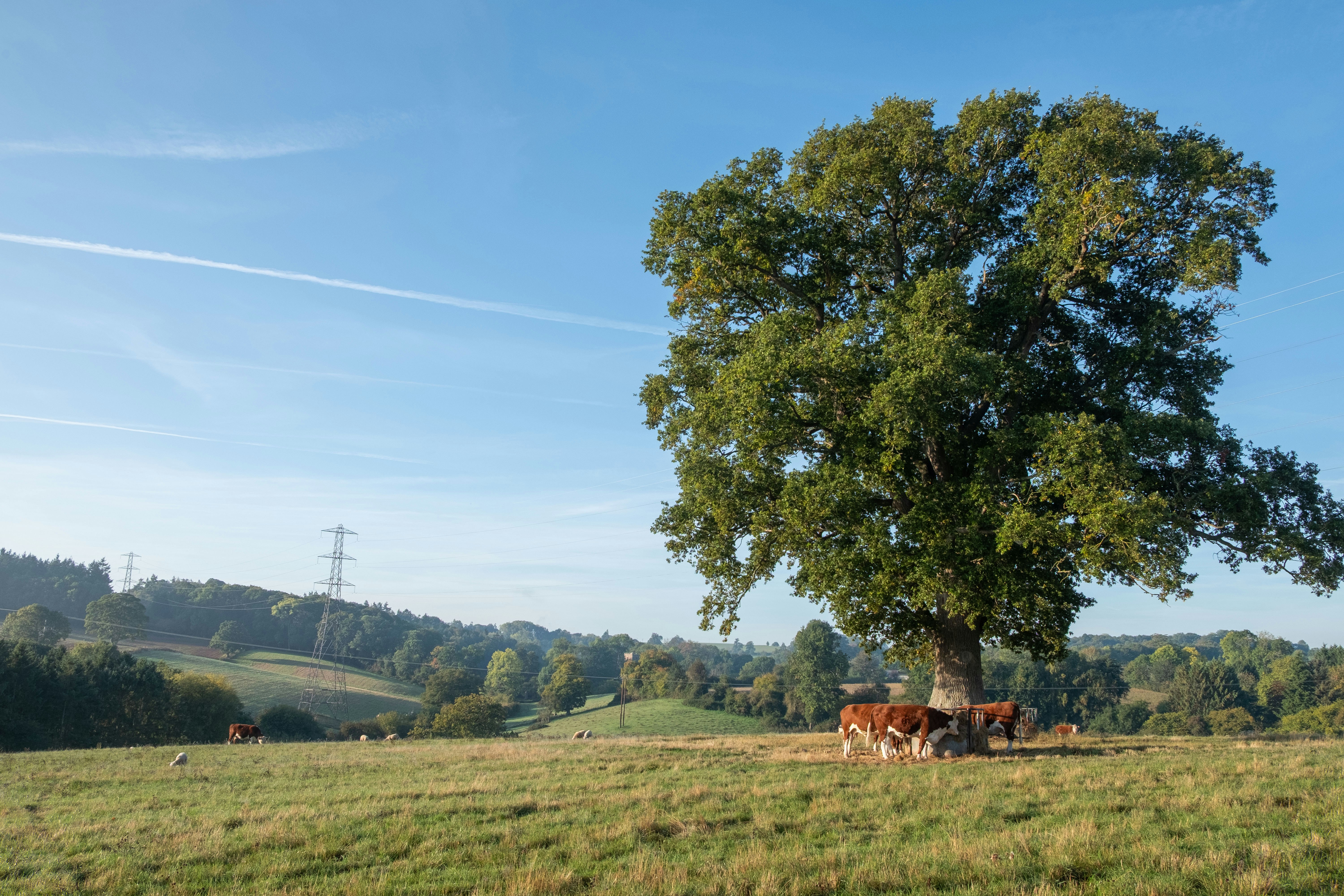 Photo by veronicaa_white