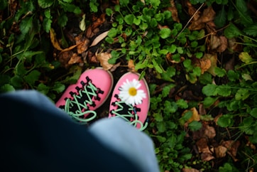 Pink sneakers with daisy on green grass