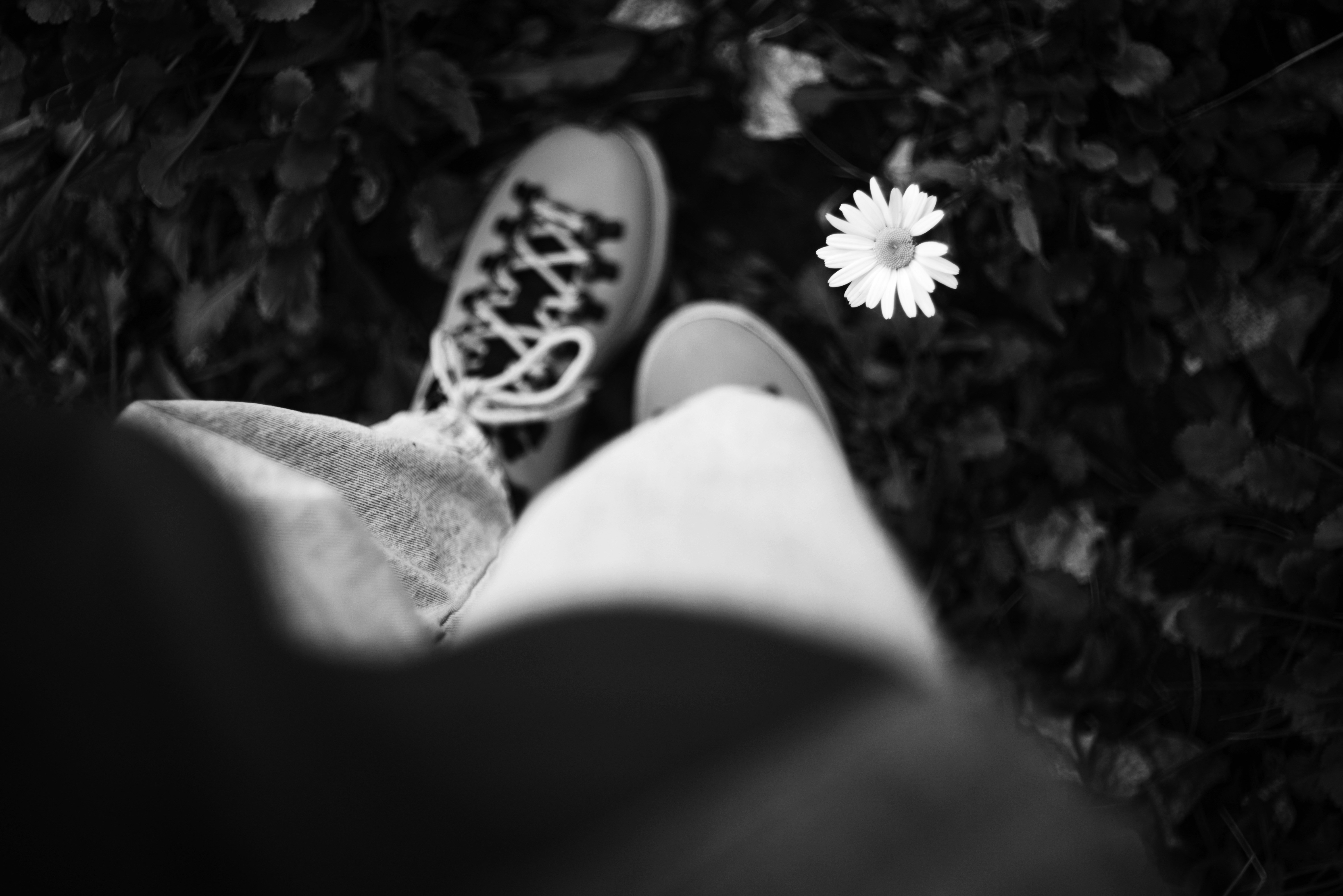 Photo by cherstve_pechivo