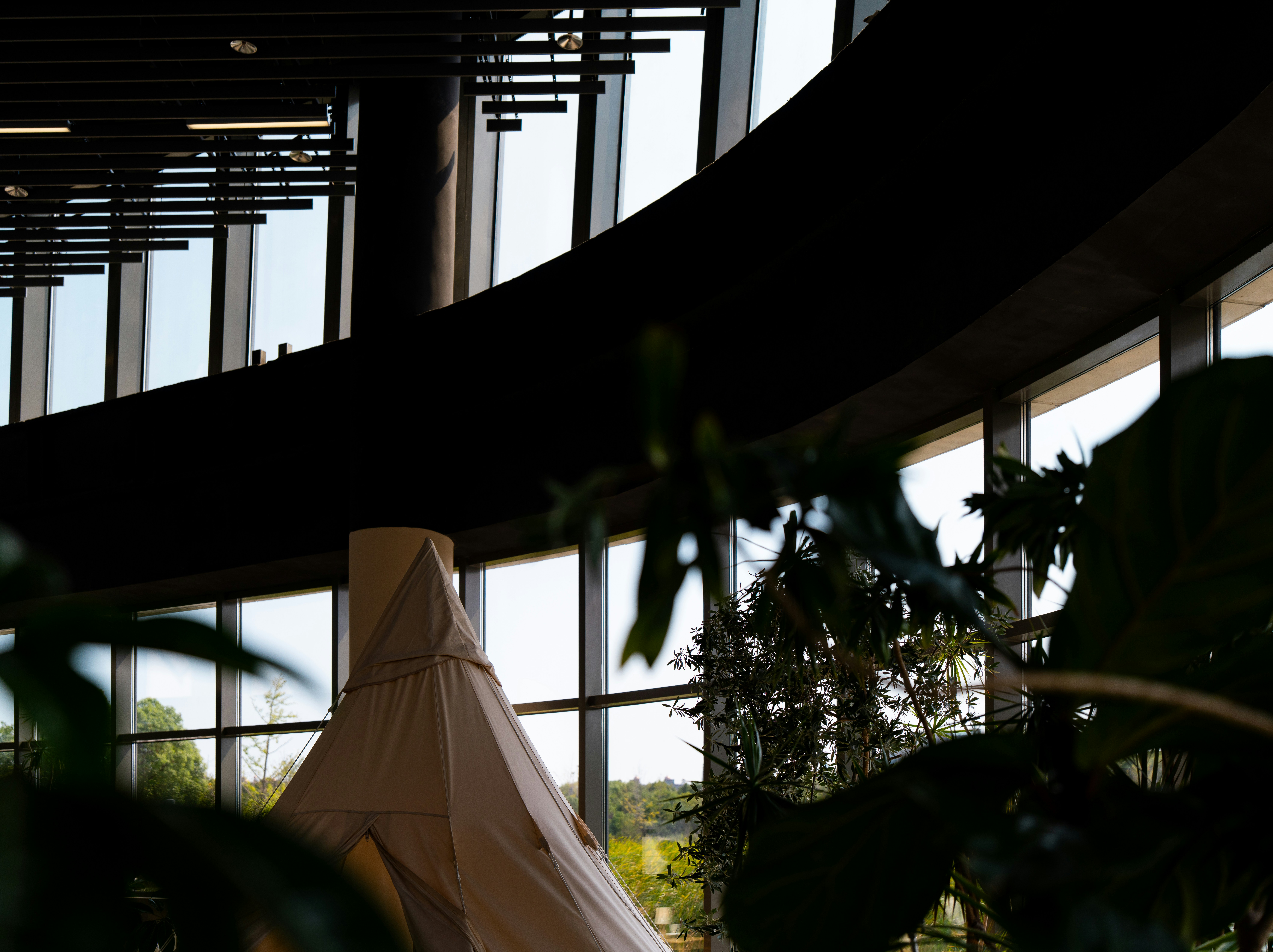 Modern interior plants