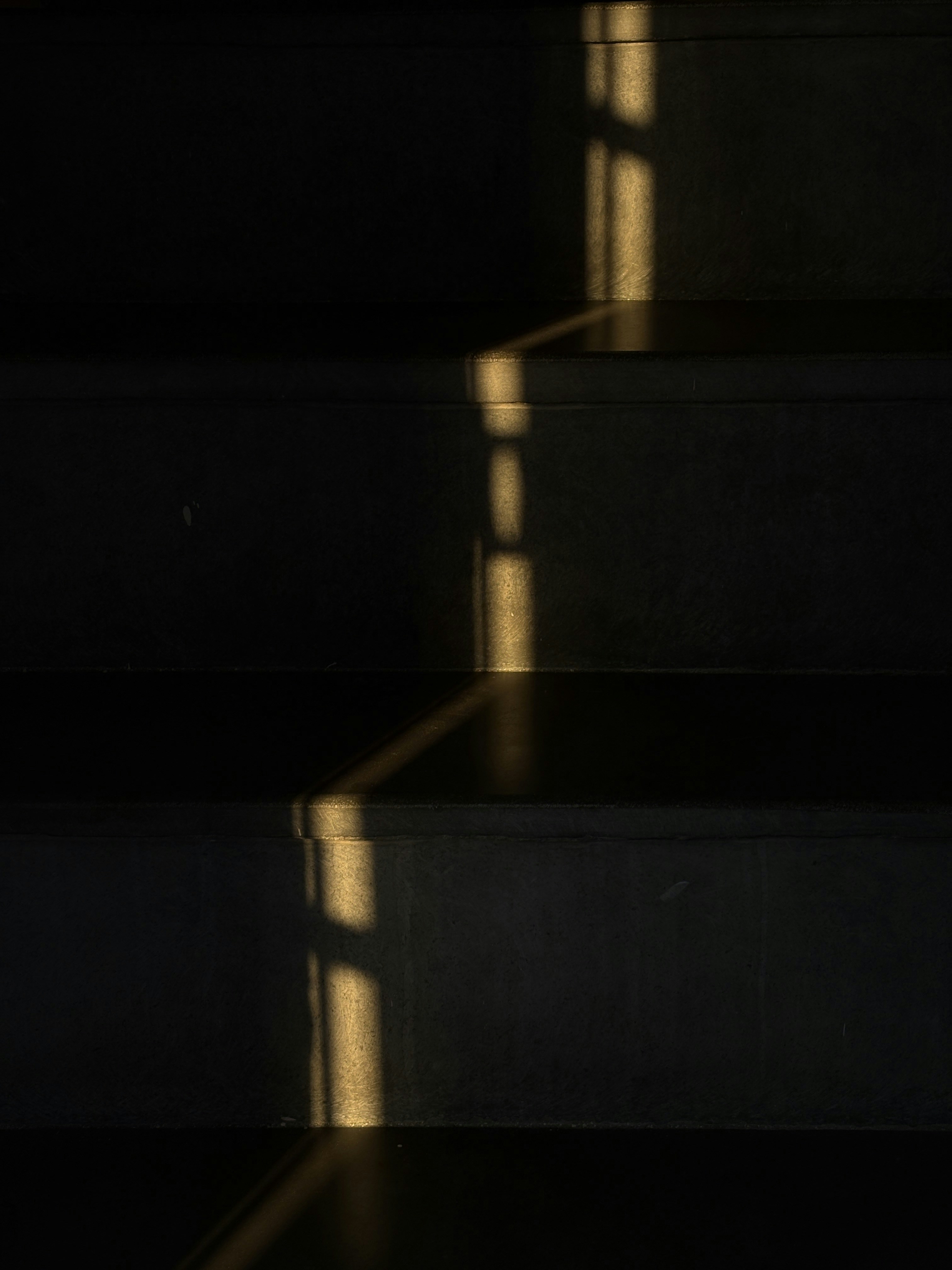 Photo by mayank_singh_