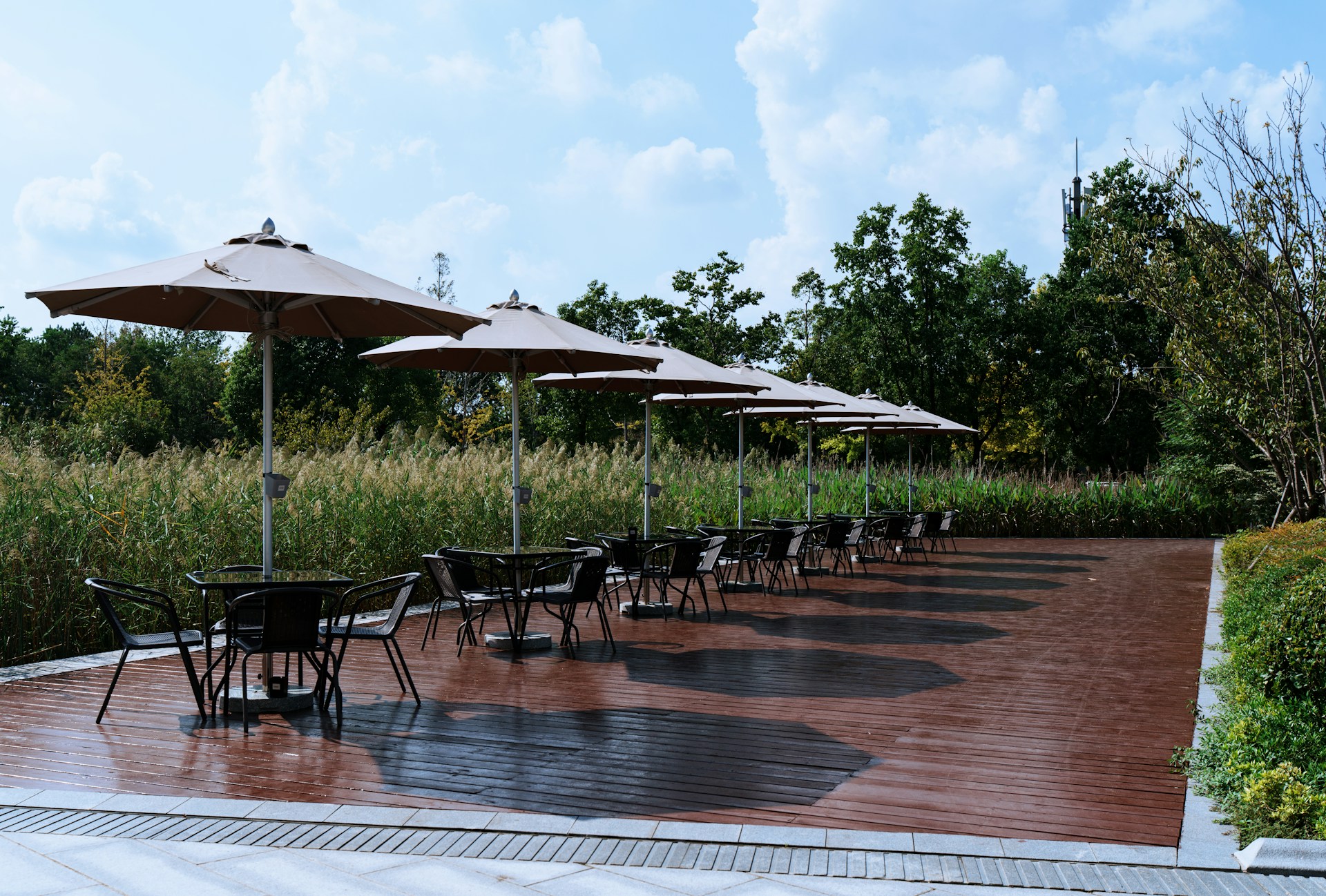 Outdoor cafe seating with umbrellas and tables