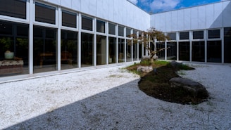 White gravel courtyard with modern building and tree.