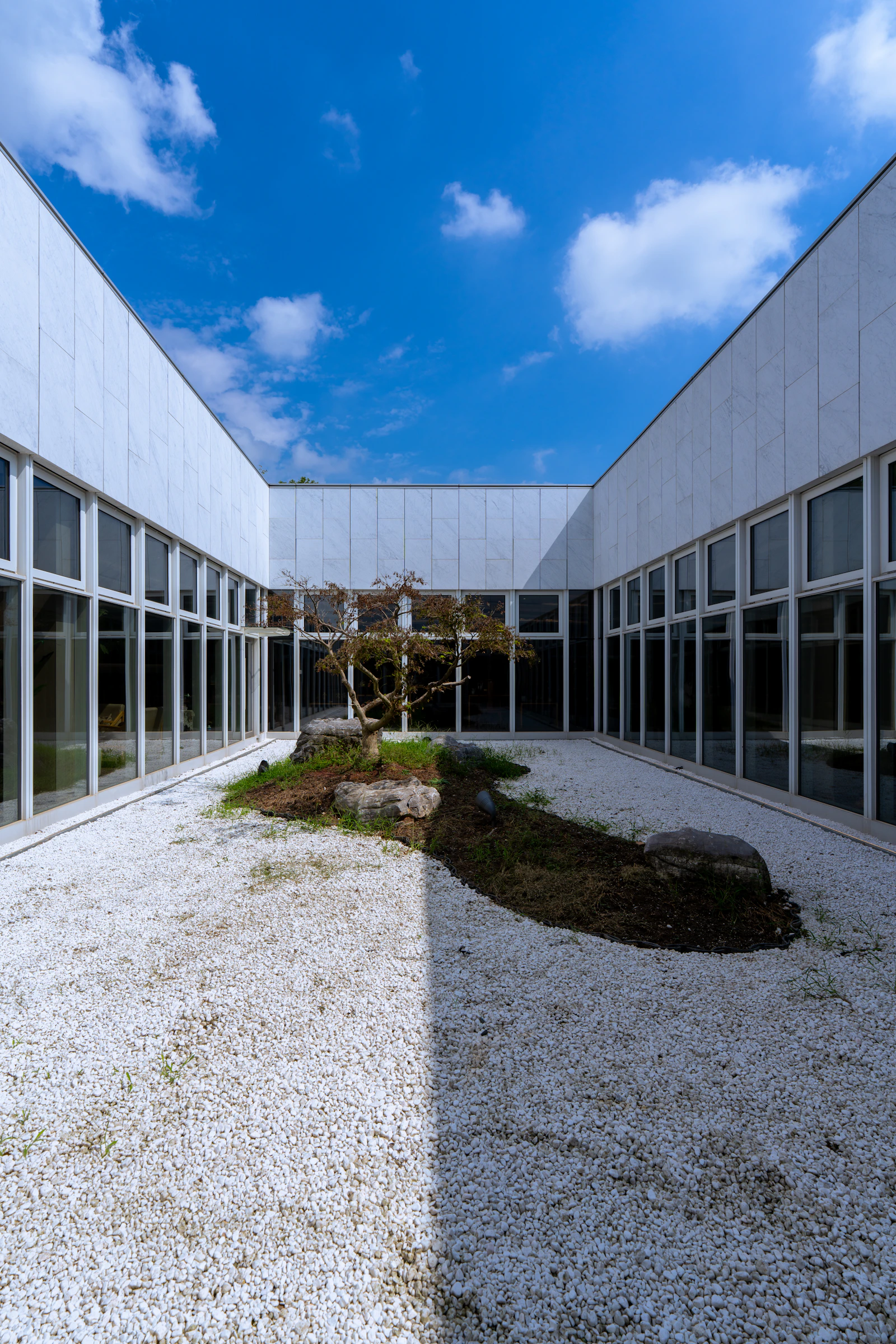 Minimal courtyard with white gravel and sculptural planting