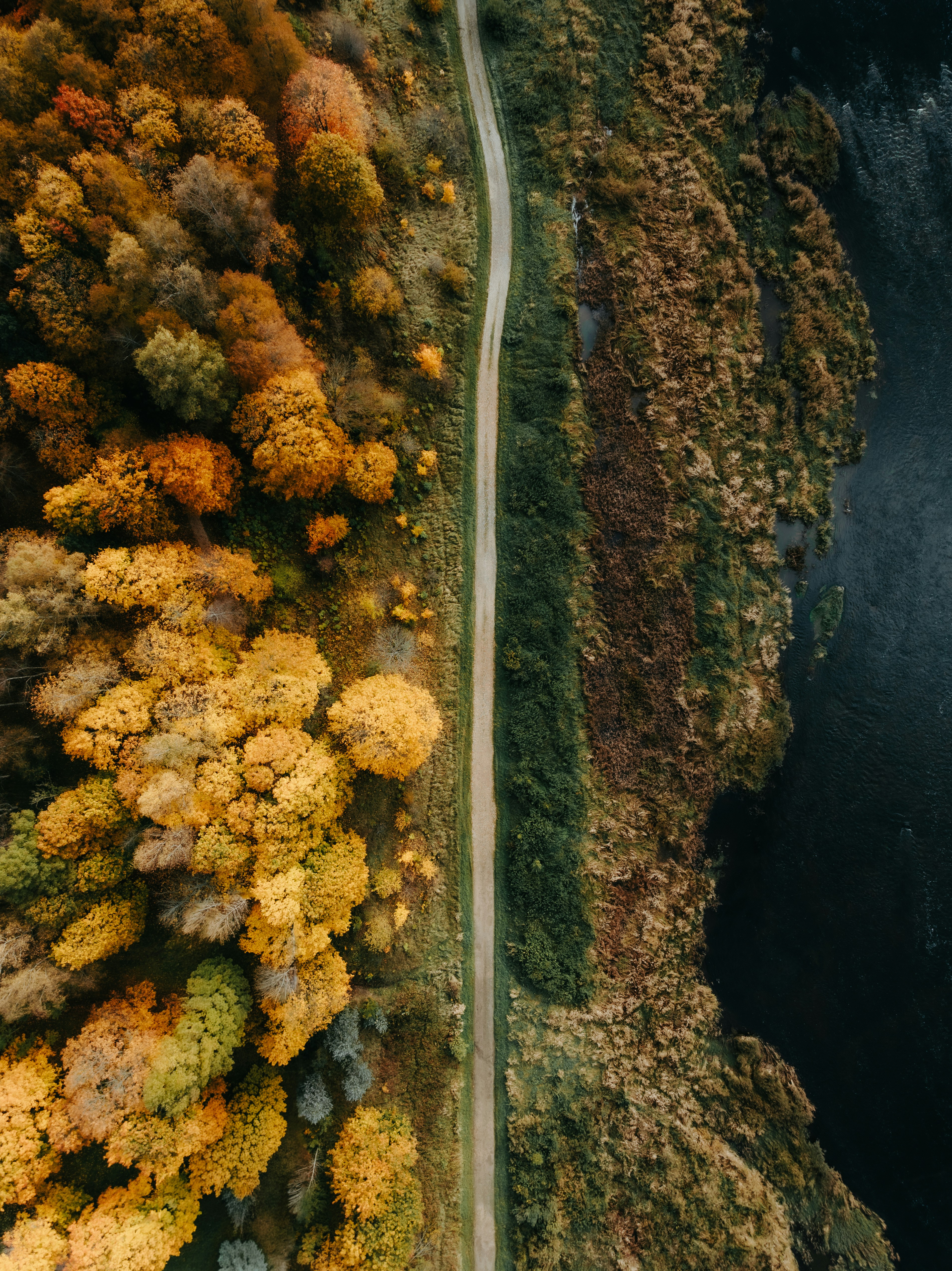 Daily Productive Sharing 1343 - Advice for Principal Tech ICs