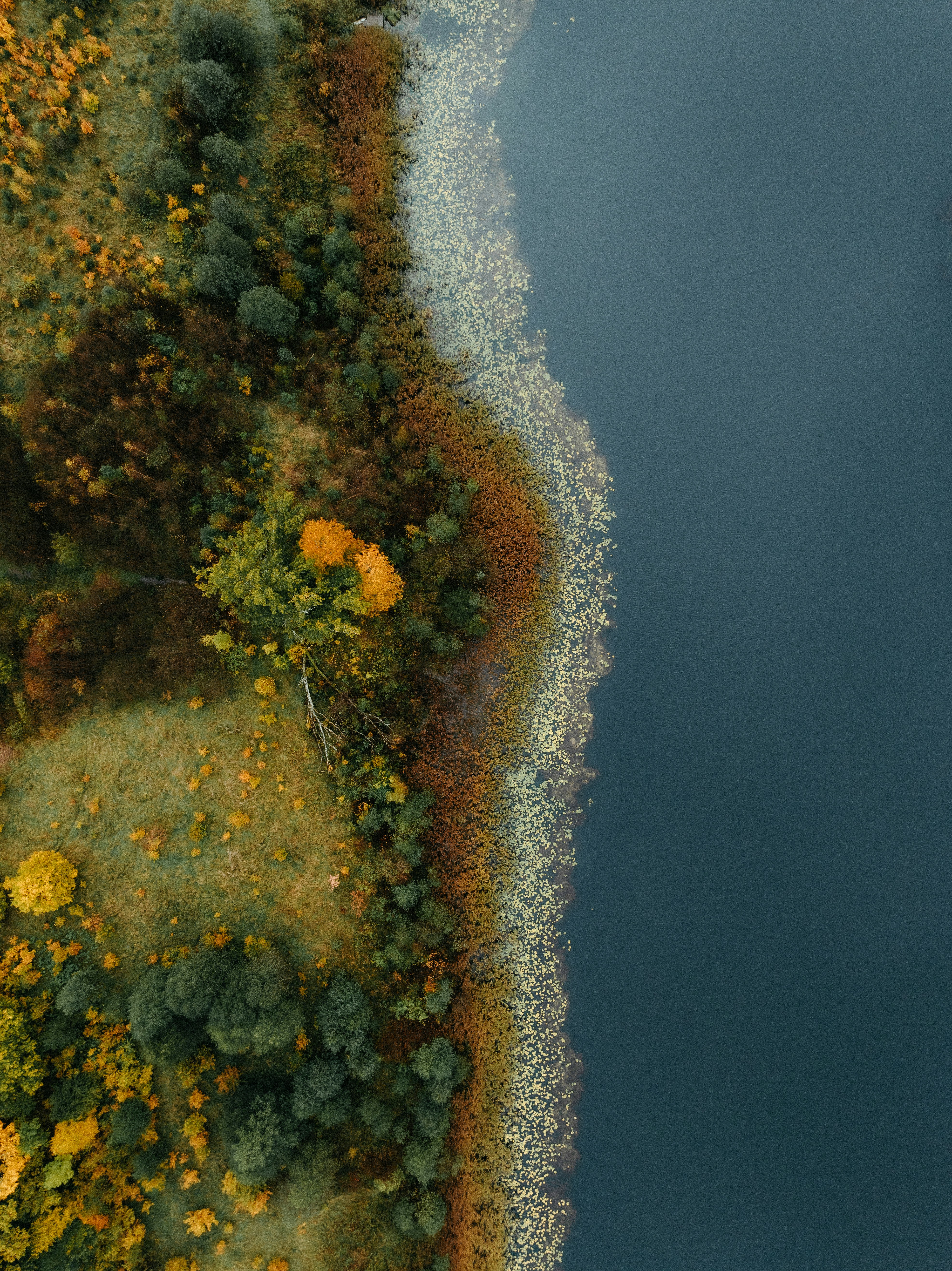 Photo by kristapsungurs