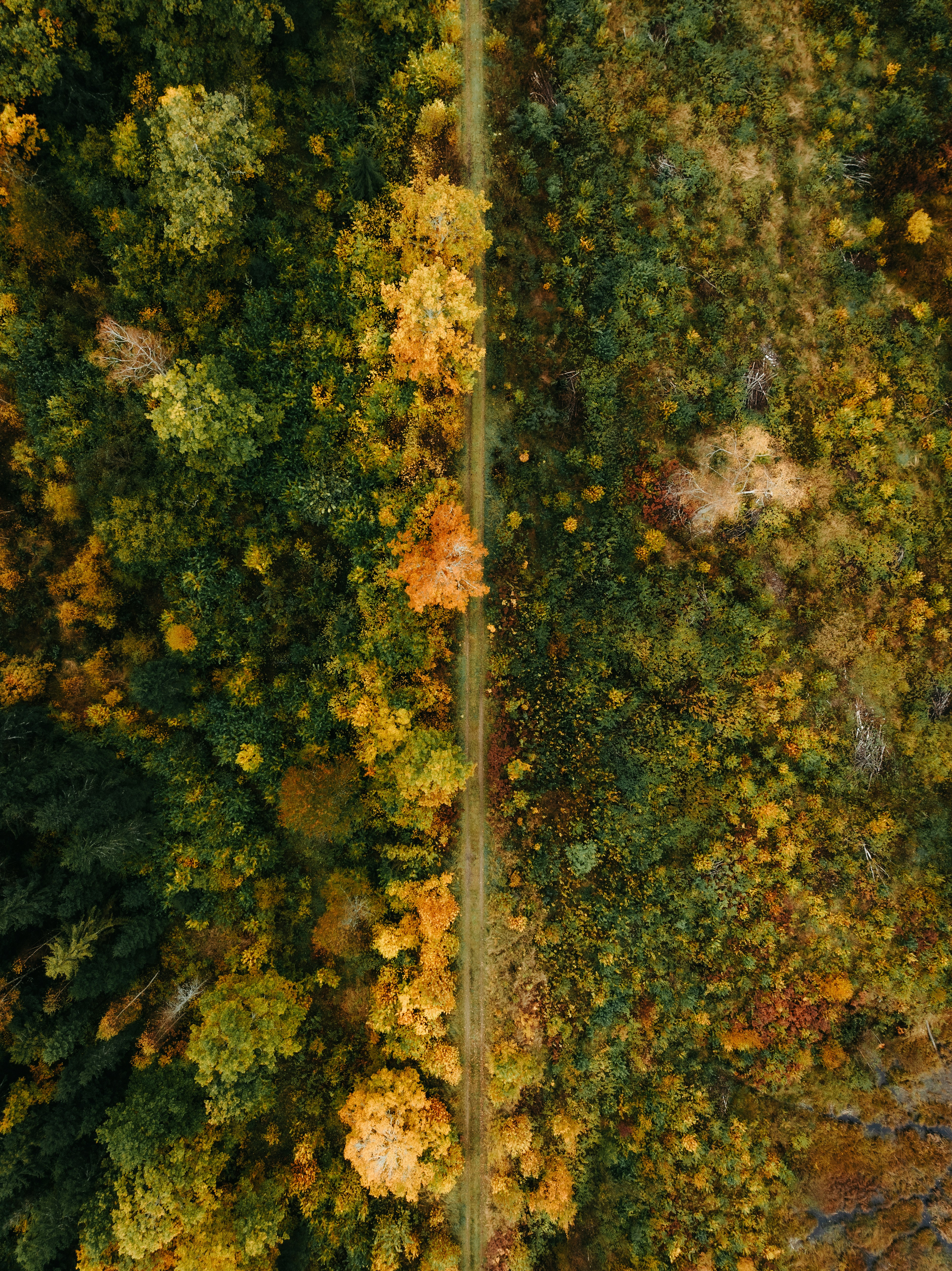 Pronti o no… l’autunno arriva lo stesso!