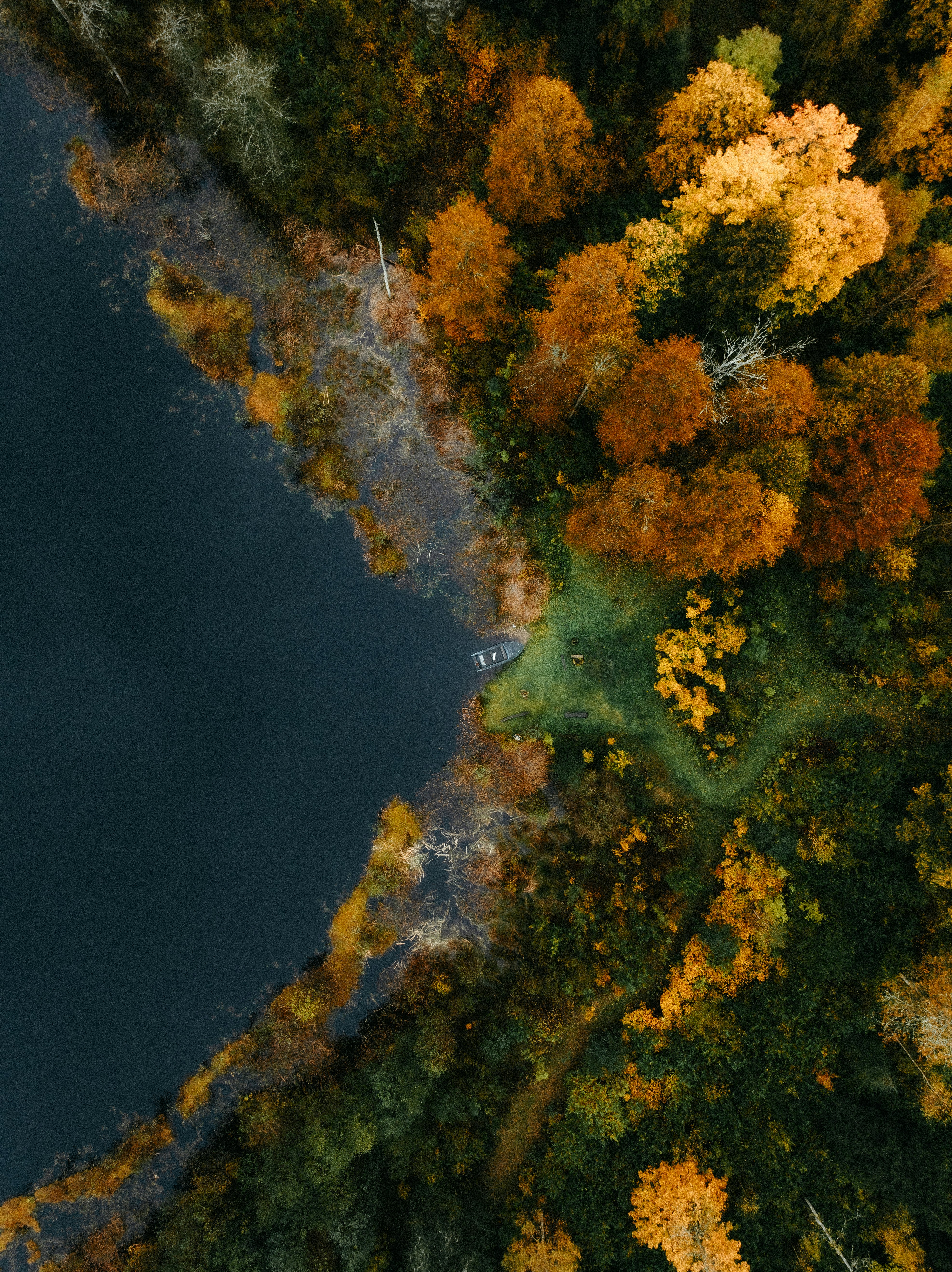 Warum ich Weyerhaeuser kaufen würde – aber Warren Buffett nicht