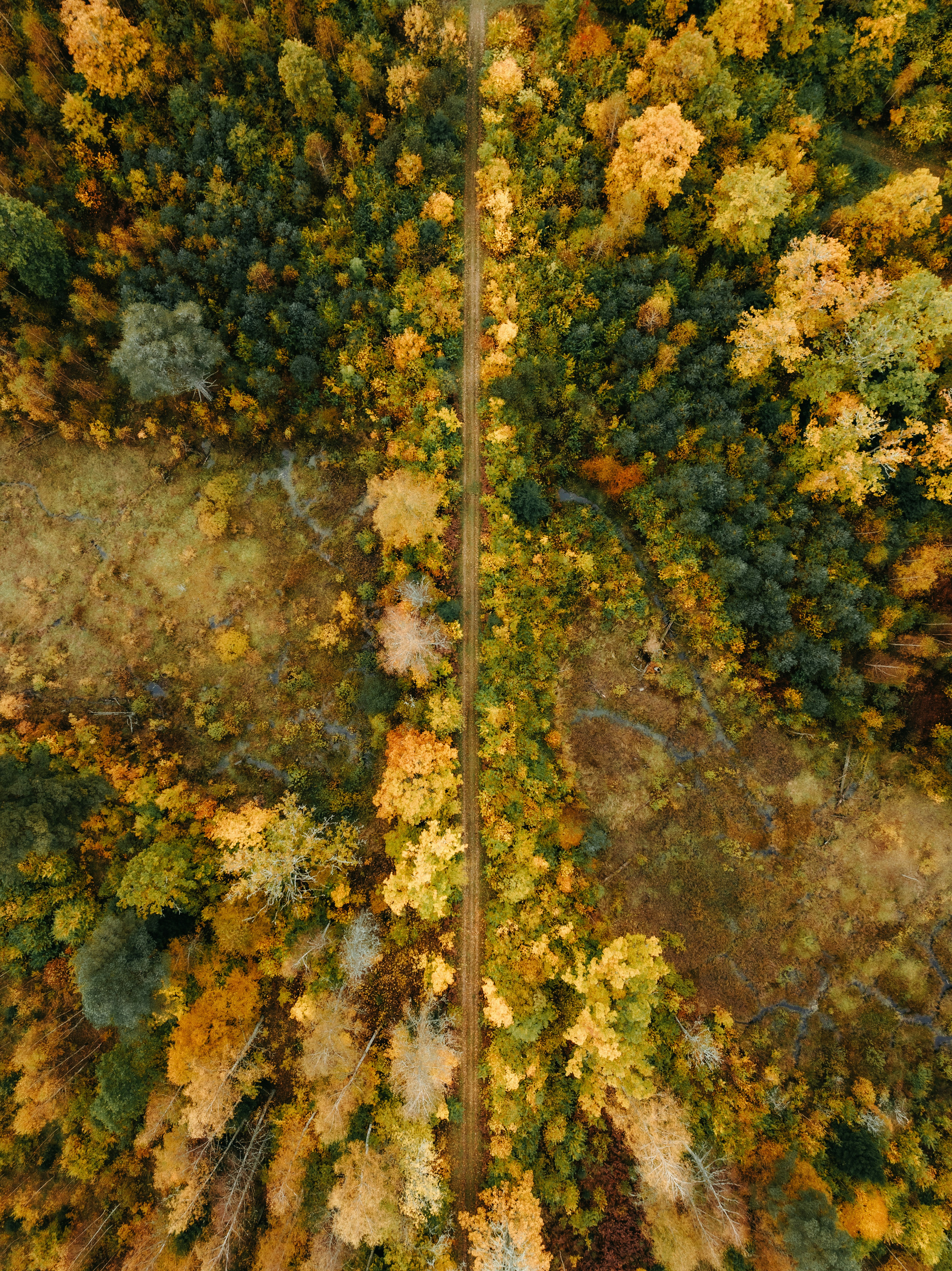 Photo by kristapsungurs