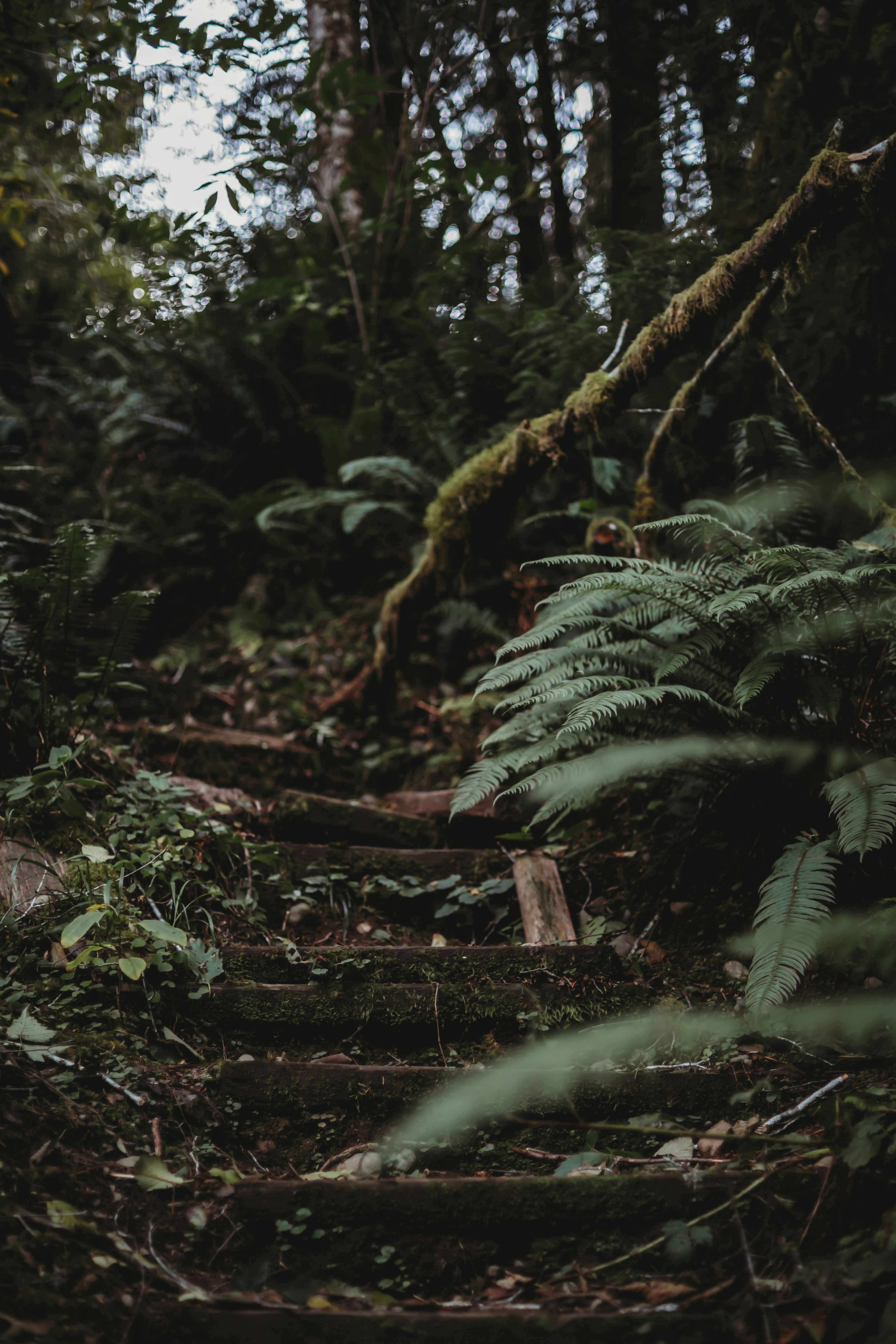 Photo by sixteenmilesout