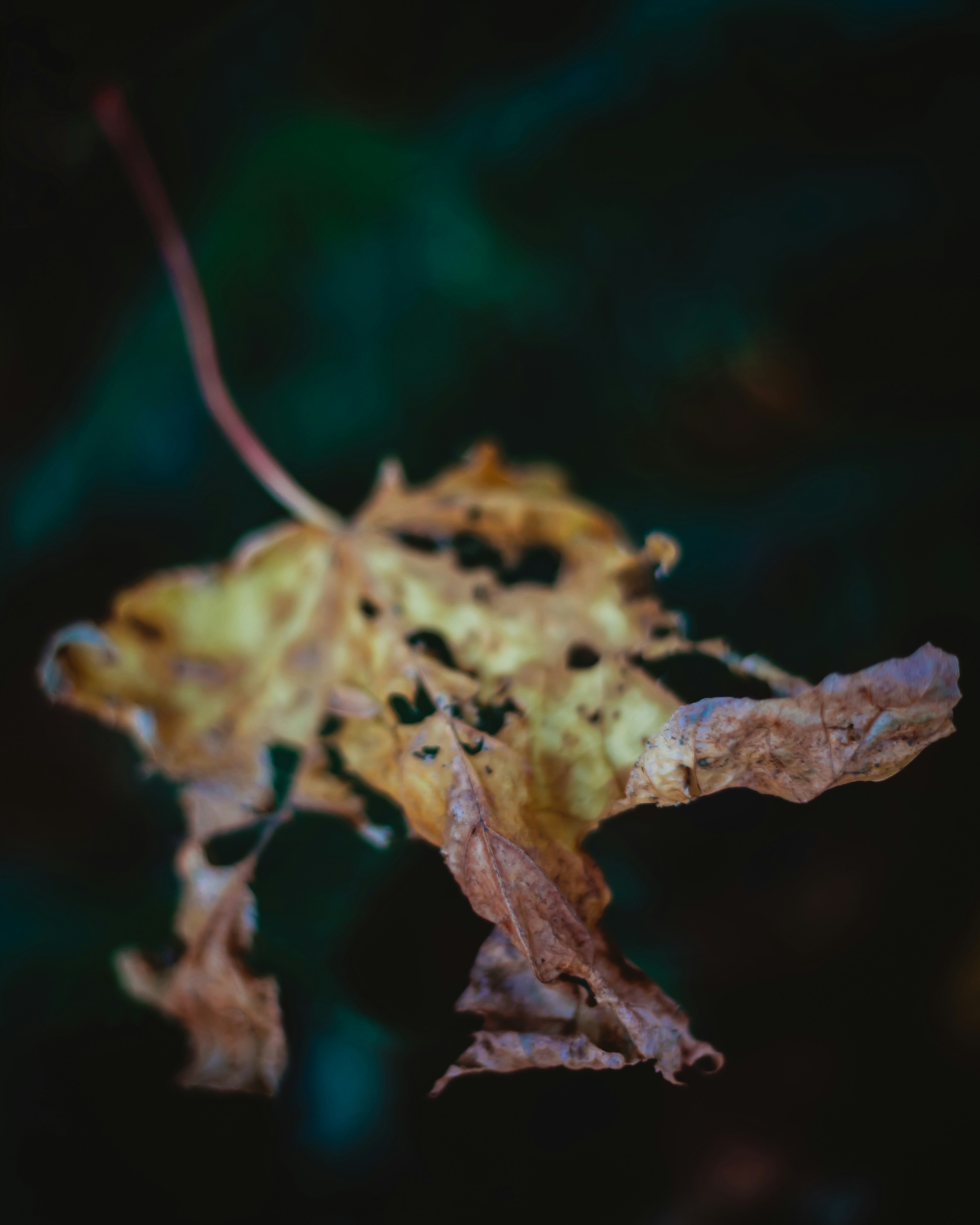 Photo by sixteenmilesout