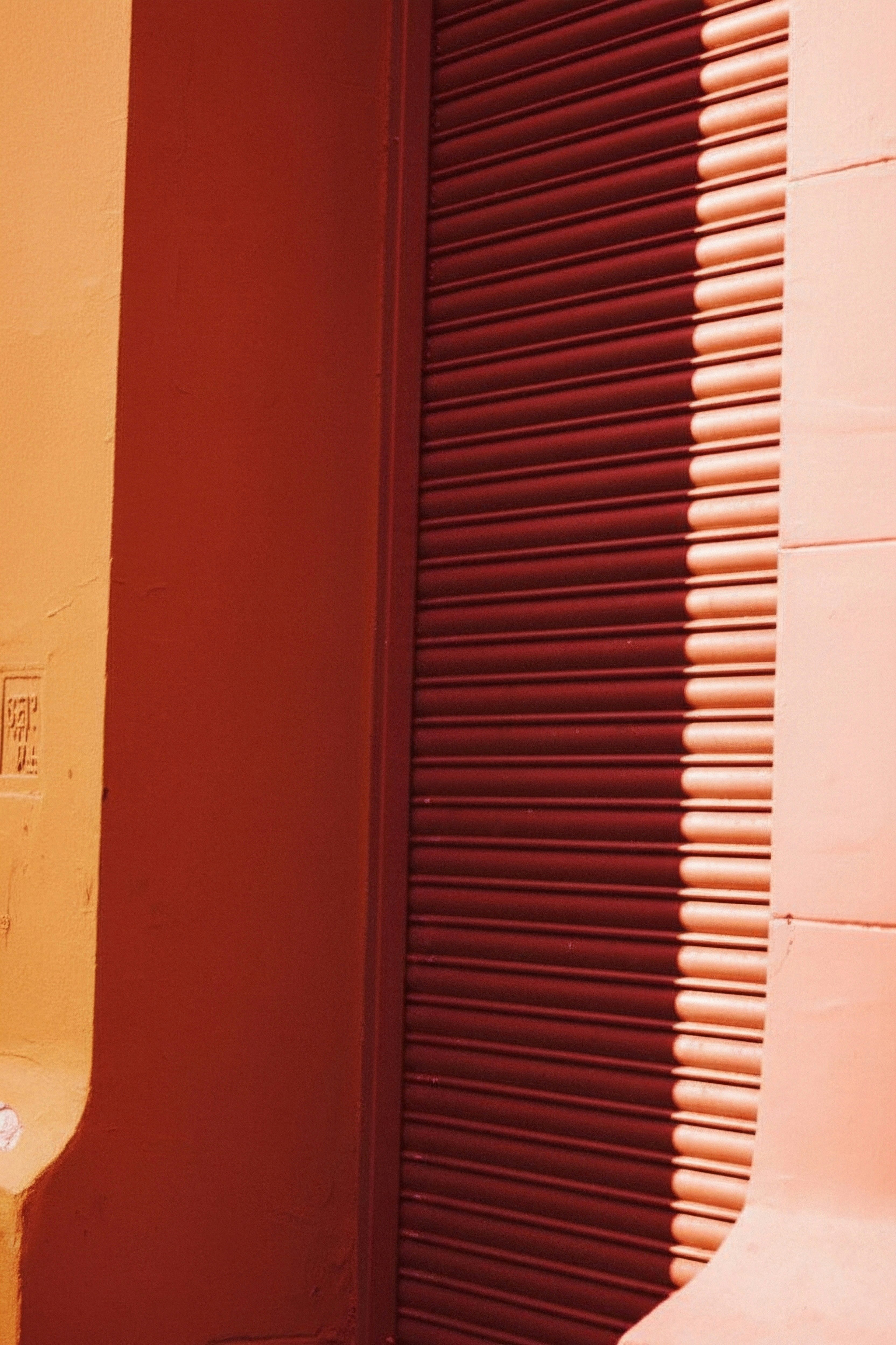 Photo by alejandroperaltaphoto