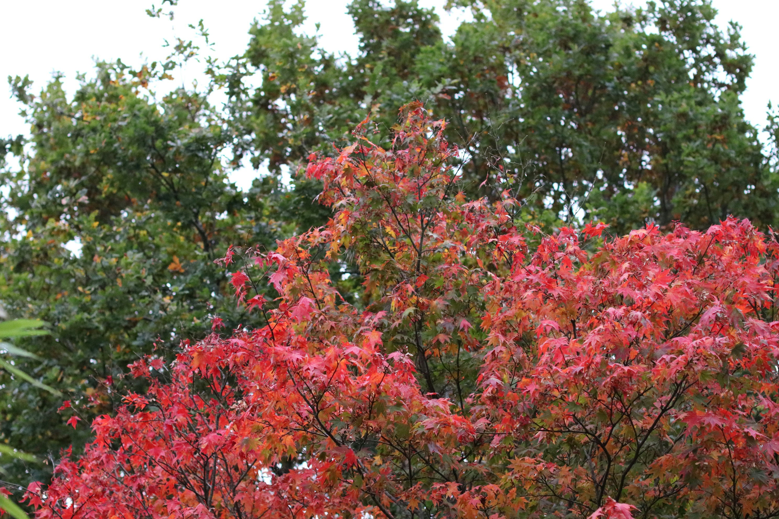 Photo by tanyabarrow