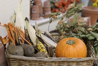 Wicker basket filled with autumn harvest vegetables