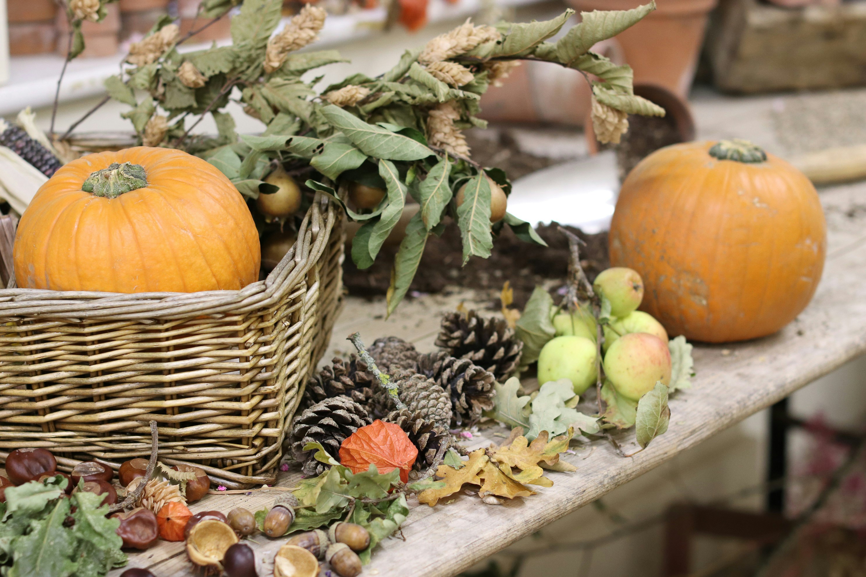 Photo by tanyabarrow