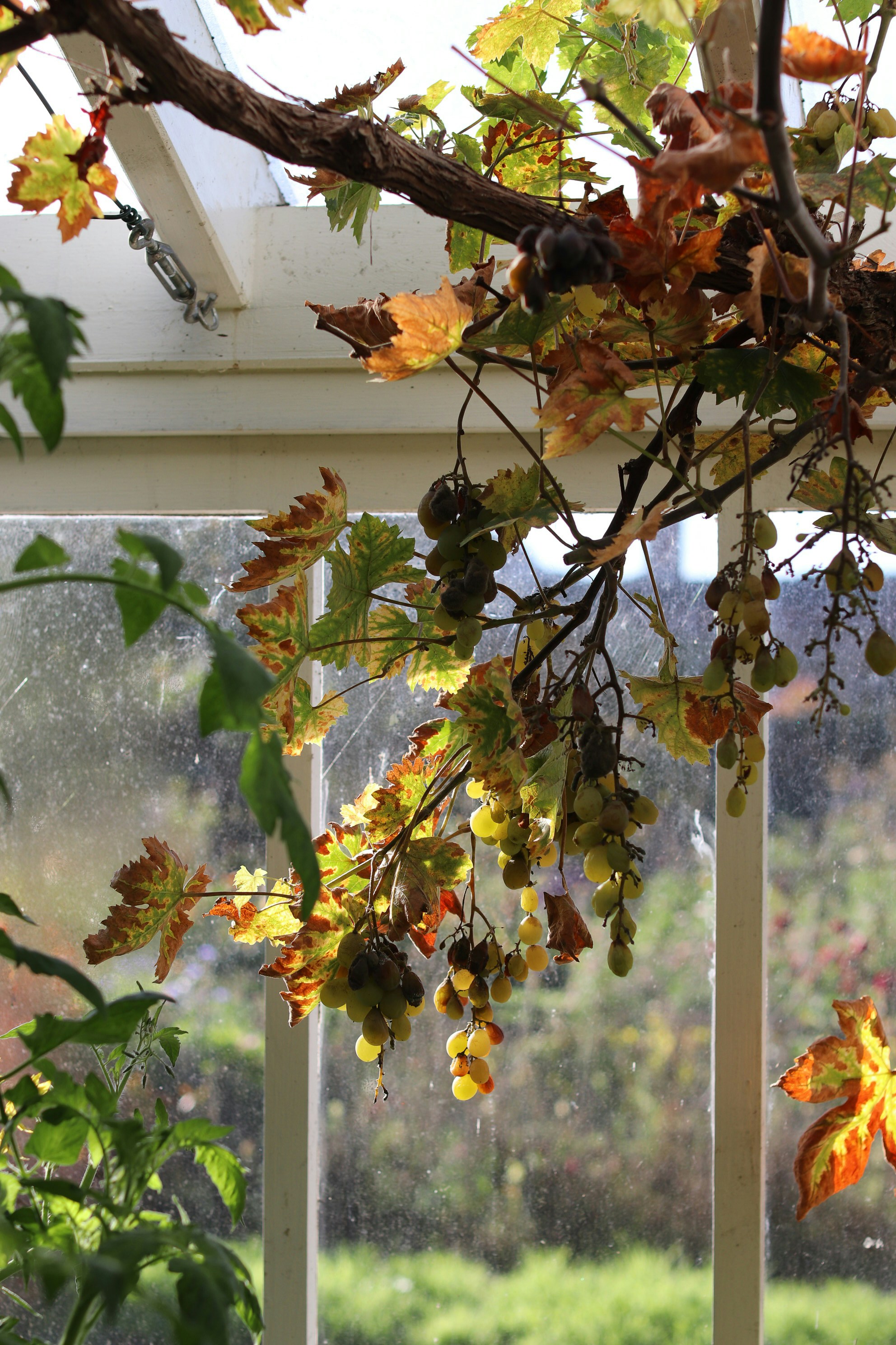 Photo by tanyabarrow