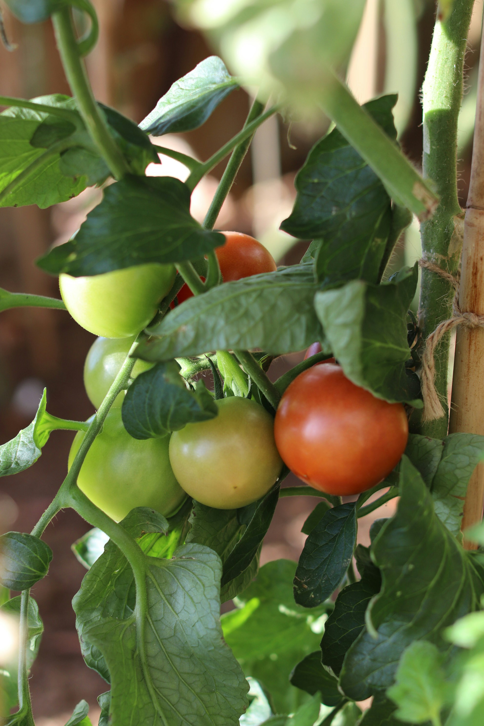 Photo by tanyabarrow