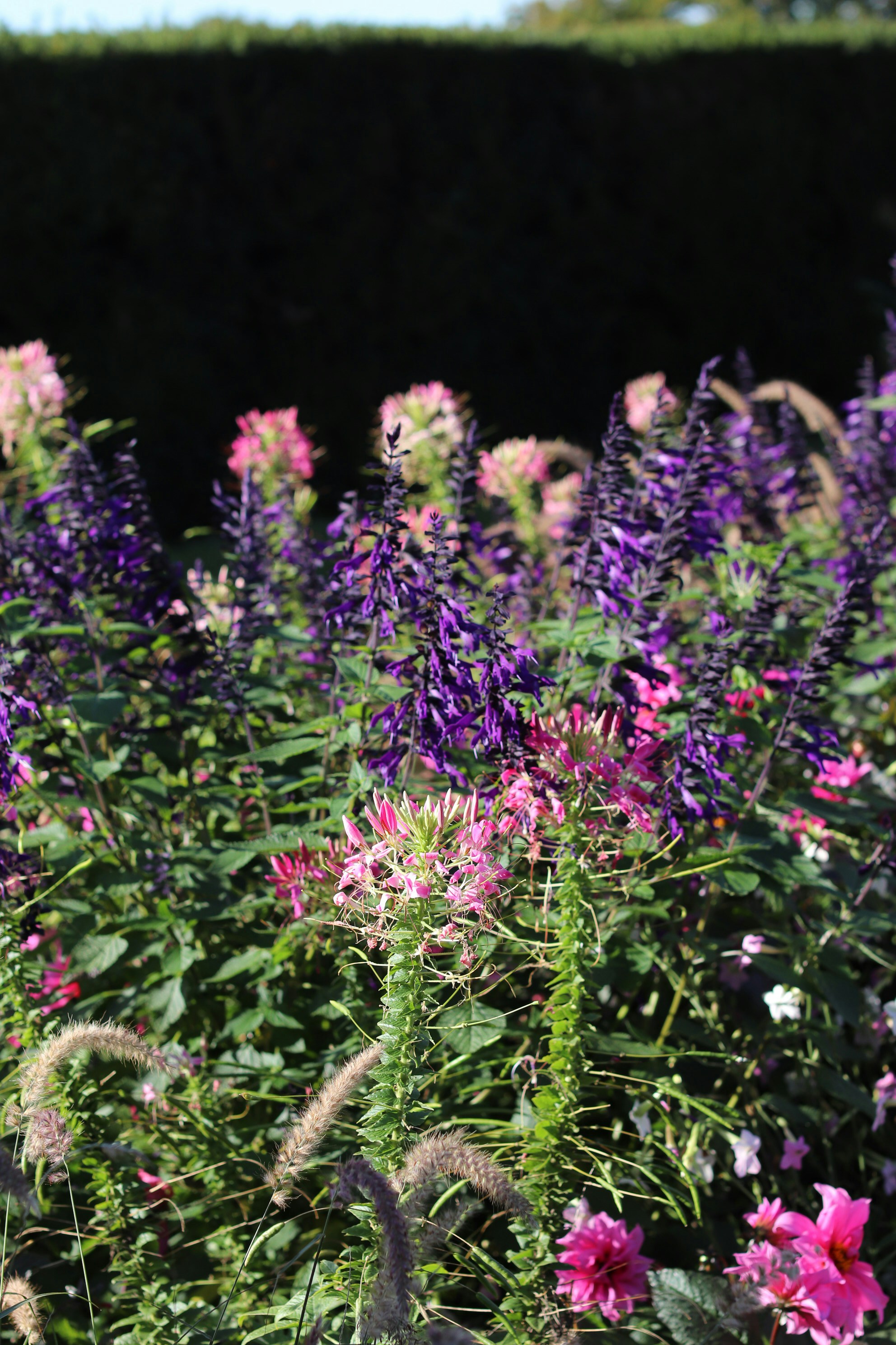 Photo by tanyabarrow