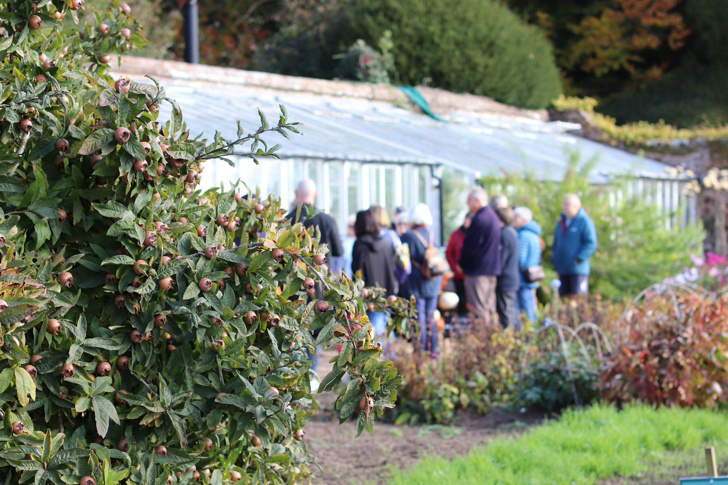 People gathered outside a greenhouse in a garden.