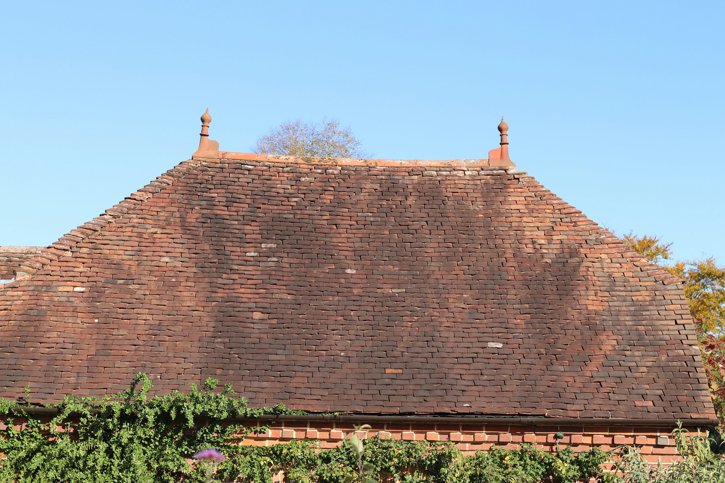 Photo by tanyabarrow