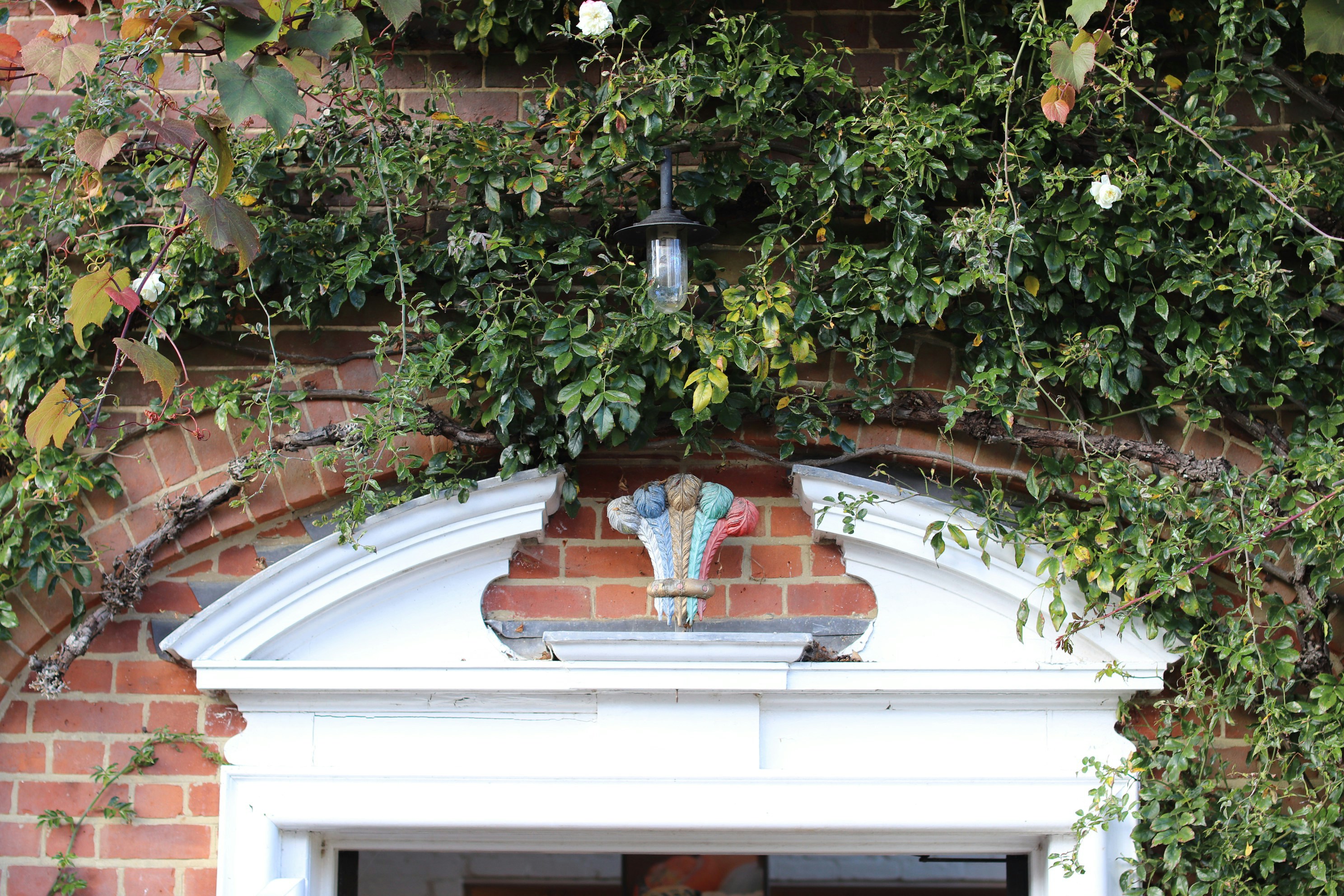 Photo by tanyabarrow