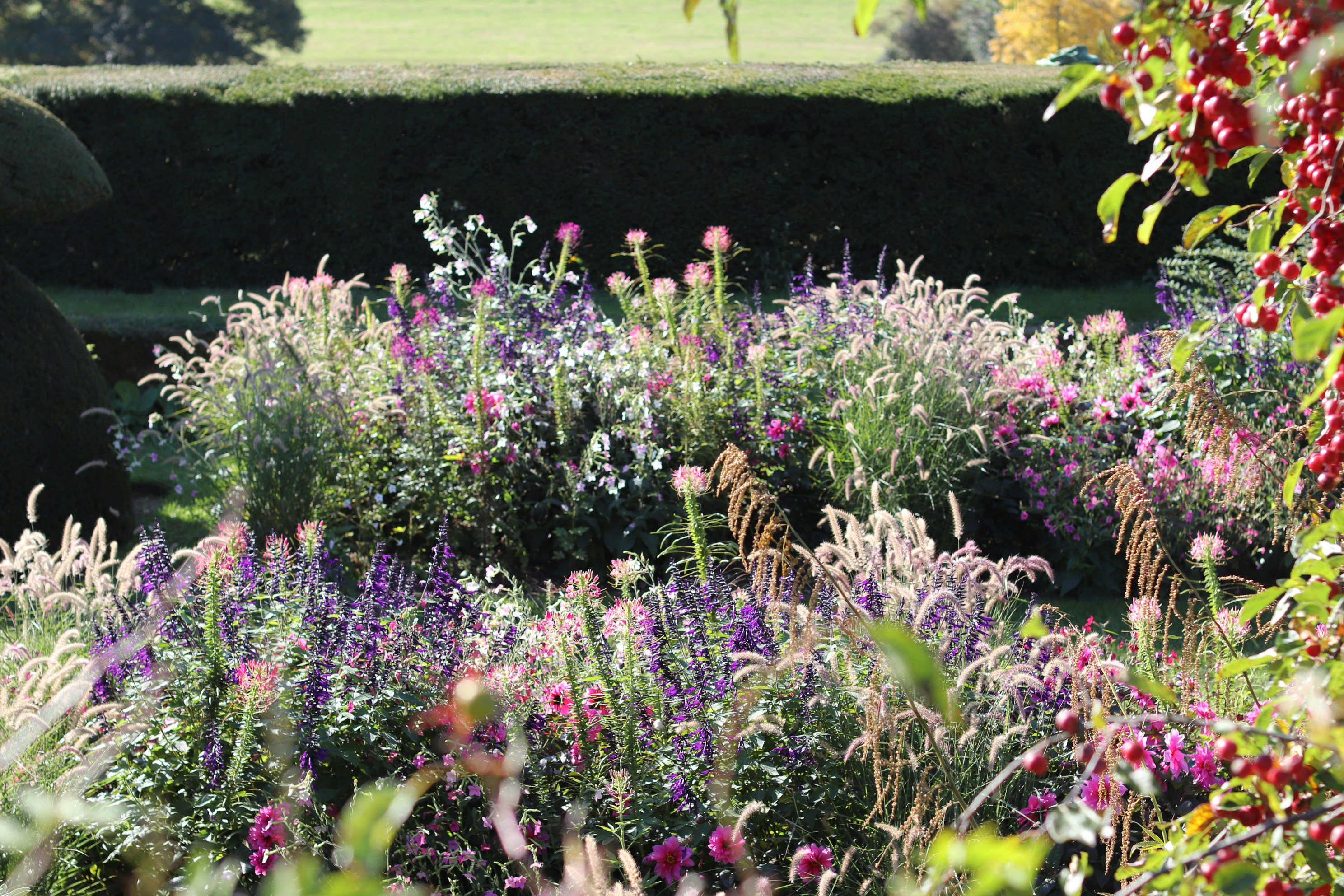 Photo by tanyabarrow