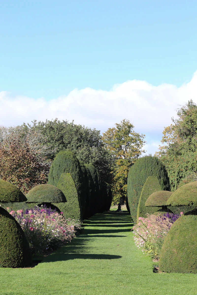 What a garden designer actually does for the money