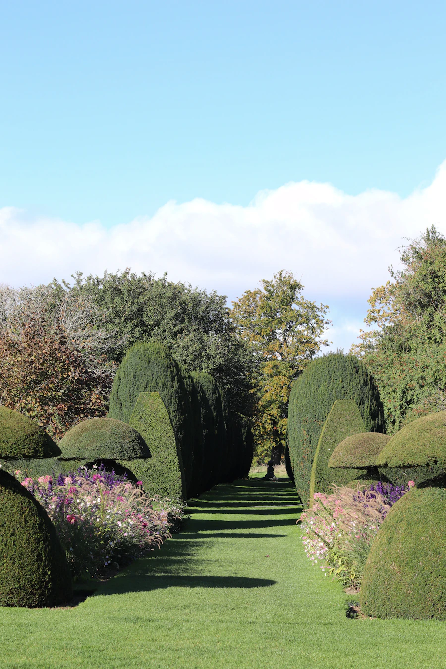 Formal garden path lined with sculpted hedges and flower borders