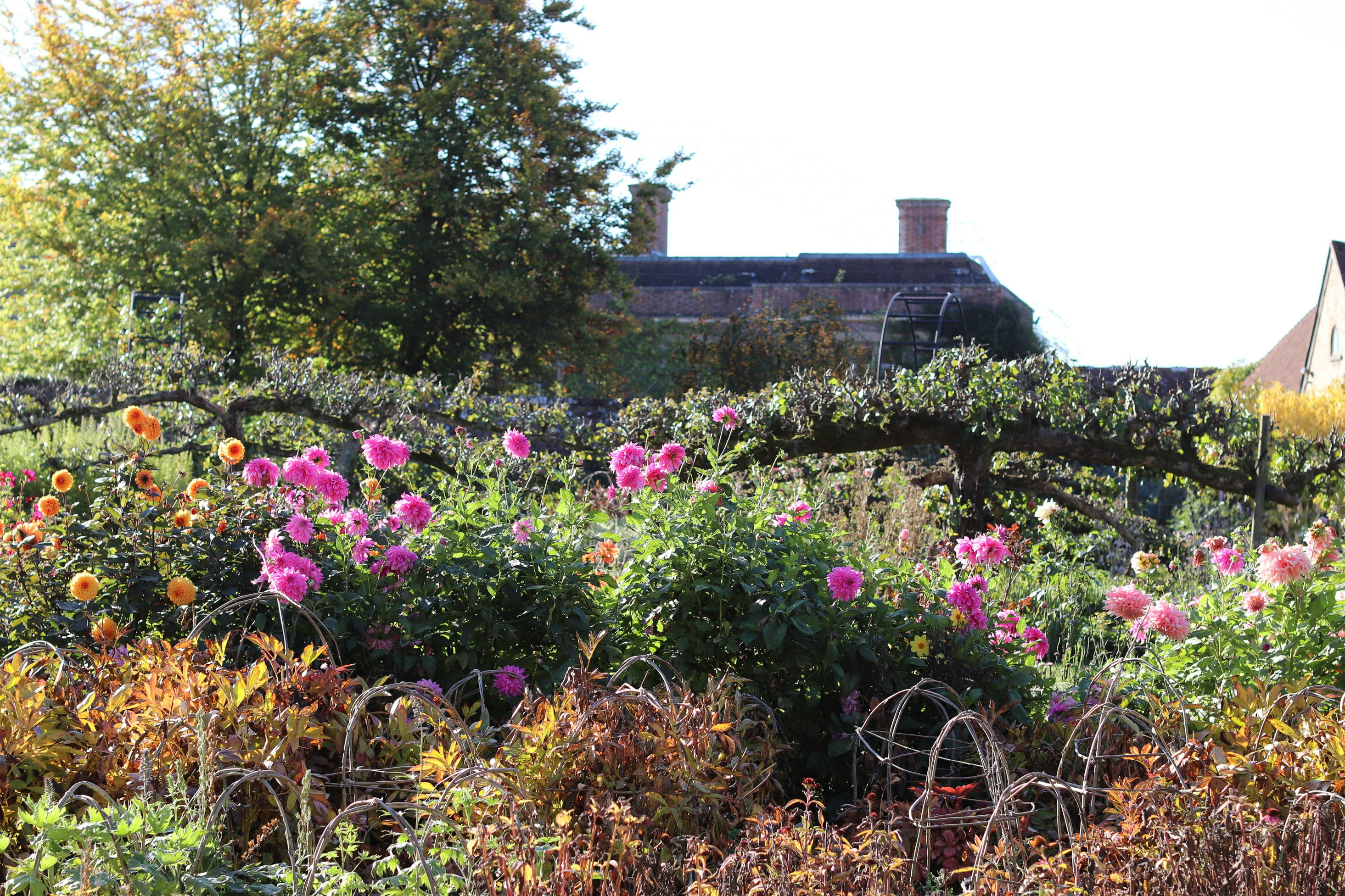 Photo by tanyabarrow