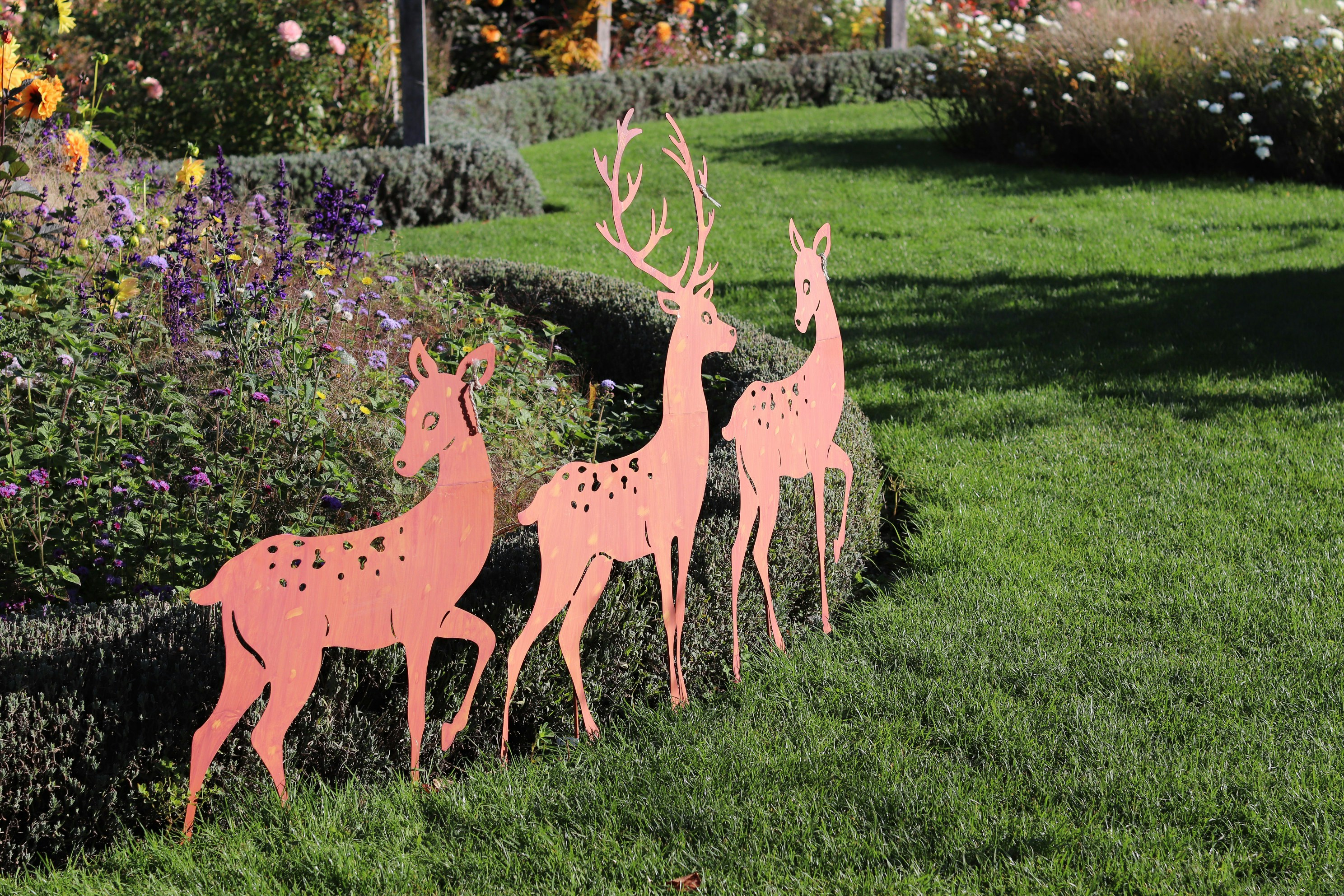 Drei Hirsch-Ausschnitte in einem Garten