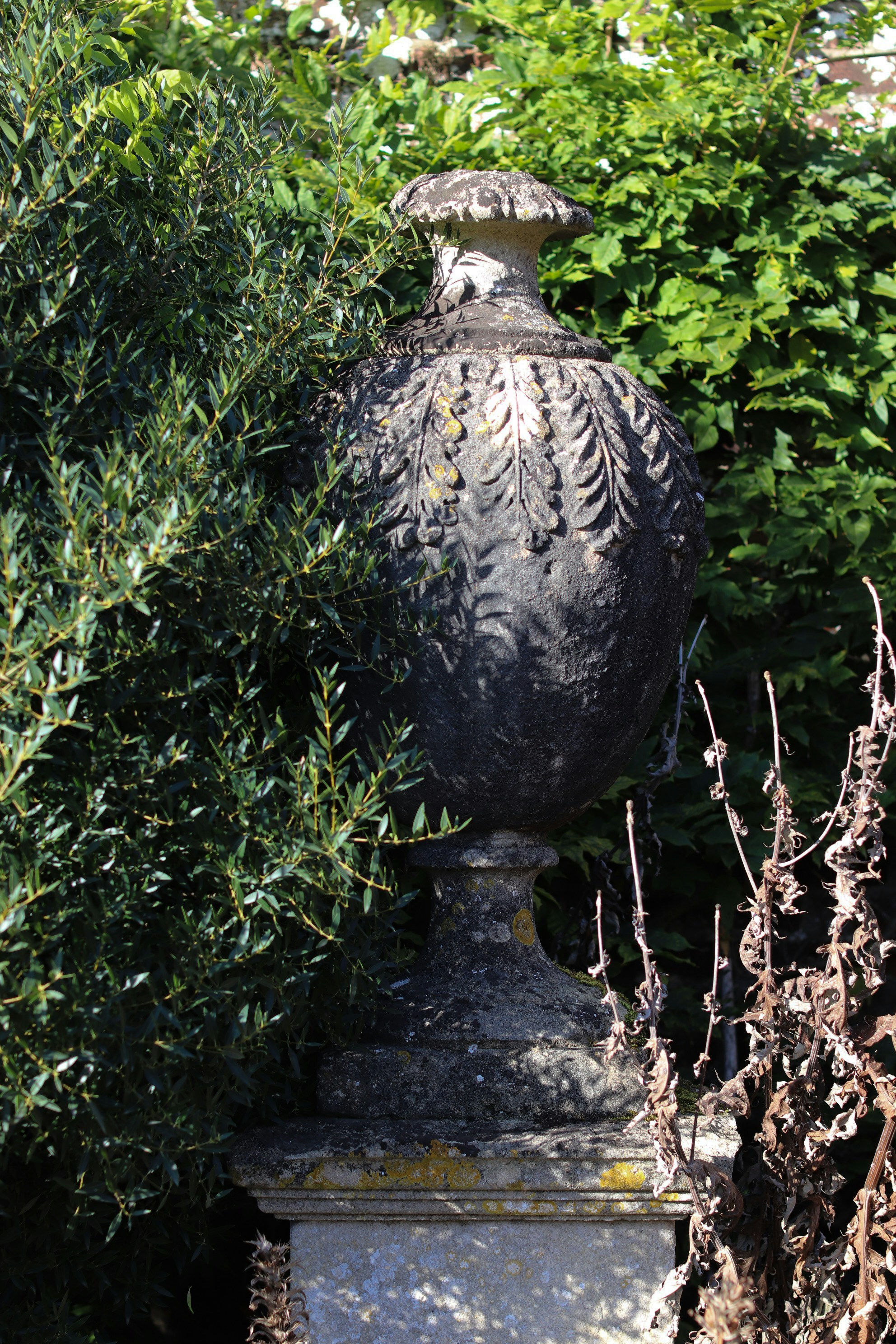 緑豊かな庭にシダ模様の石壷