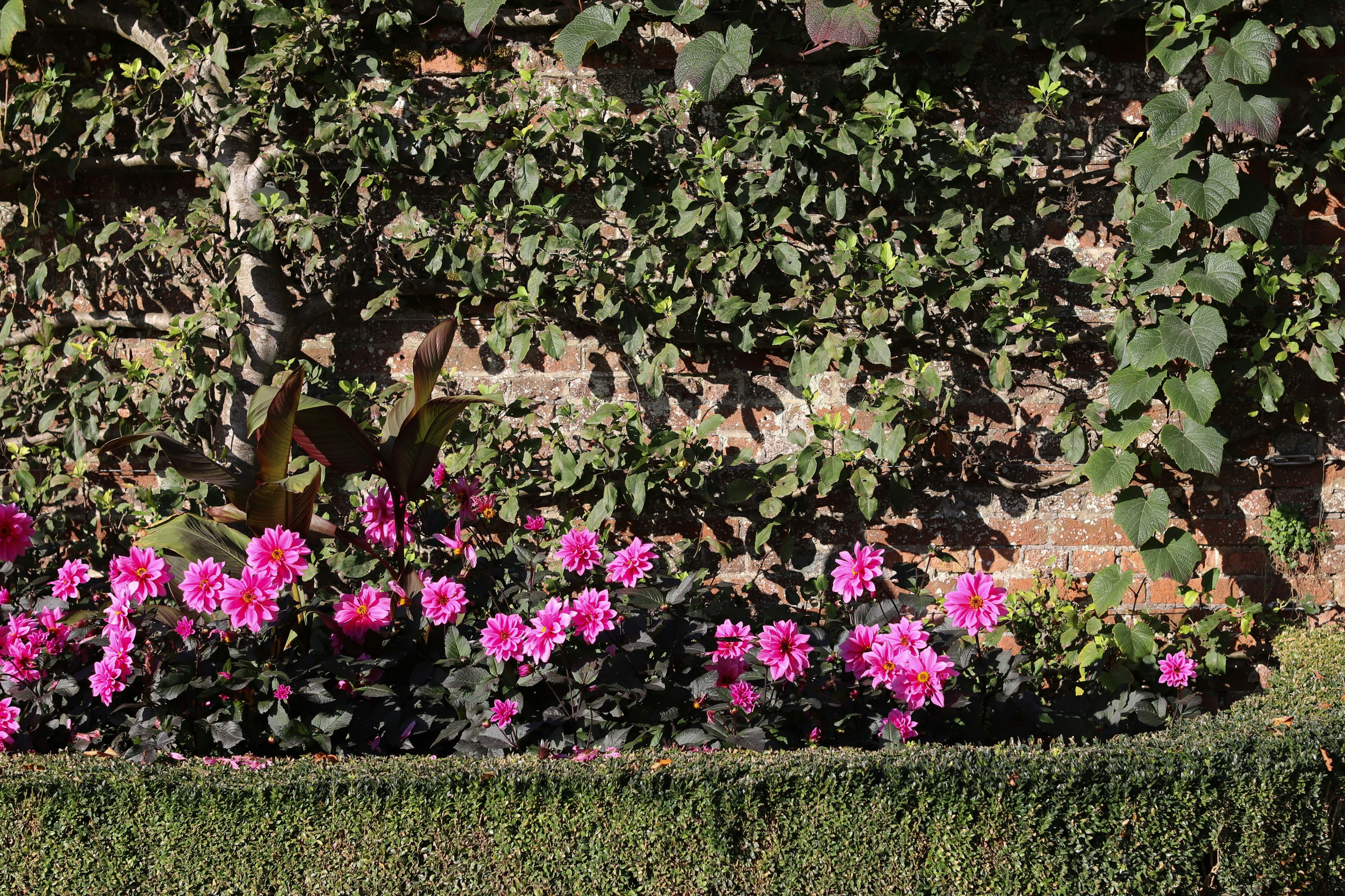 Photo by tanyabarrow