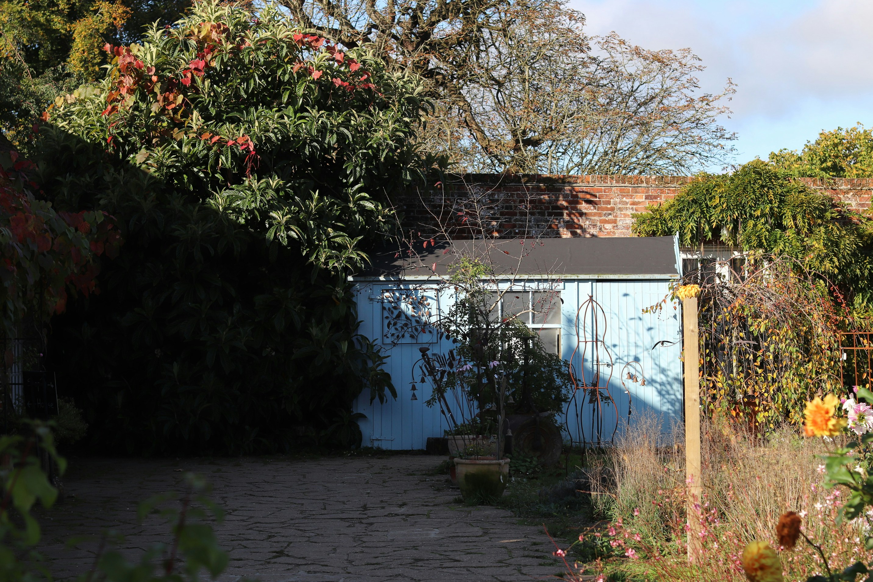 Photo by tanyabarrow