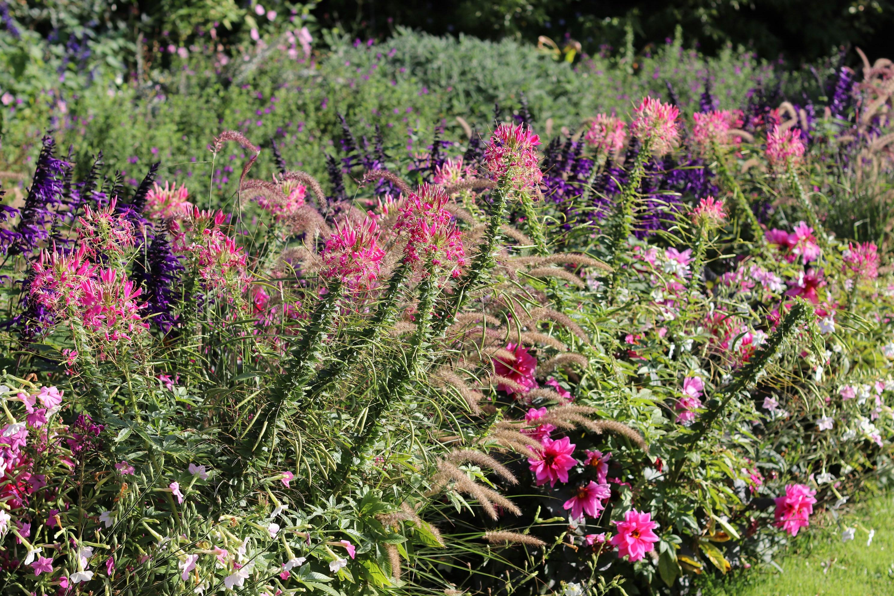 Photo by tanyabarrow