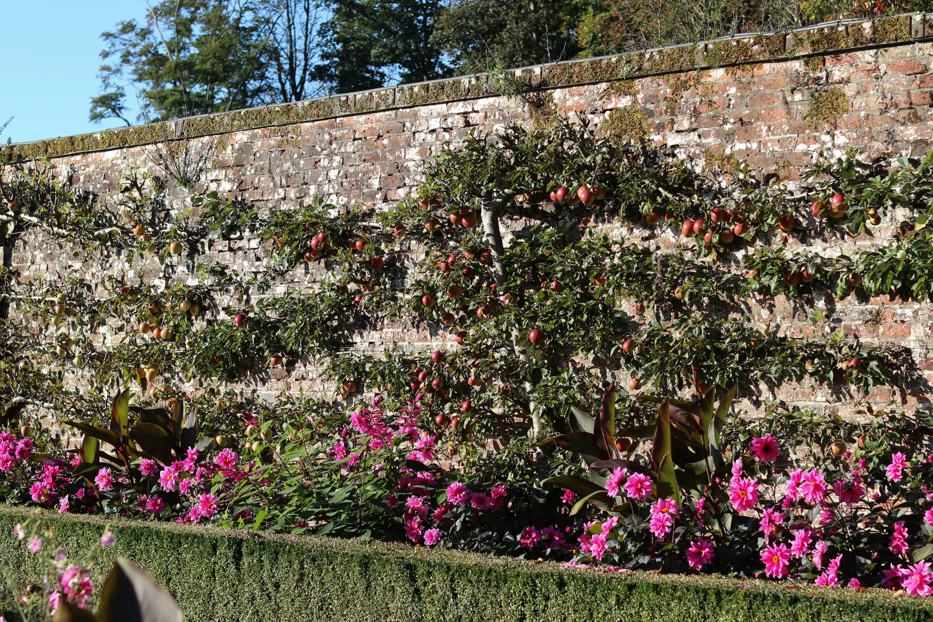 Photo by tanyabarrow