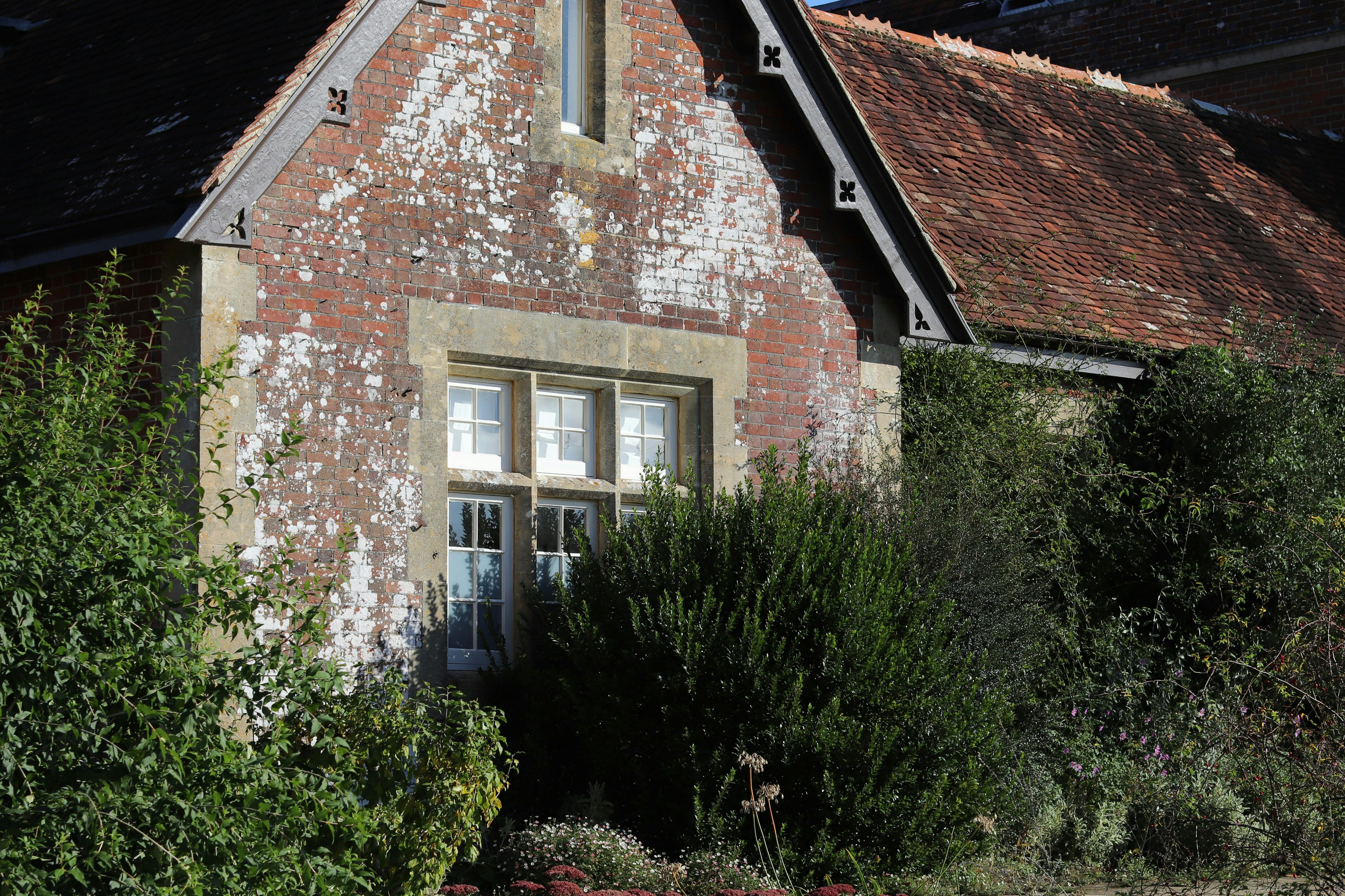 Photo by tanyabarrow