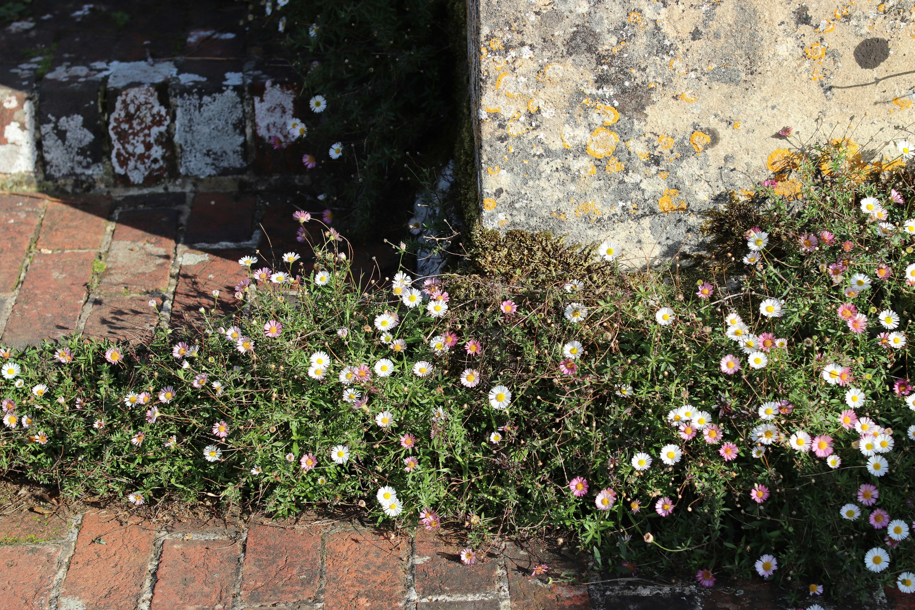 Photo by tanyabarrow