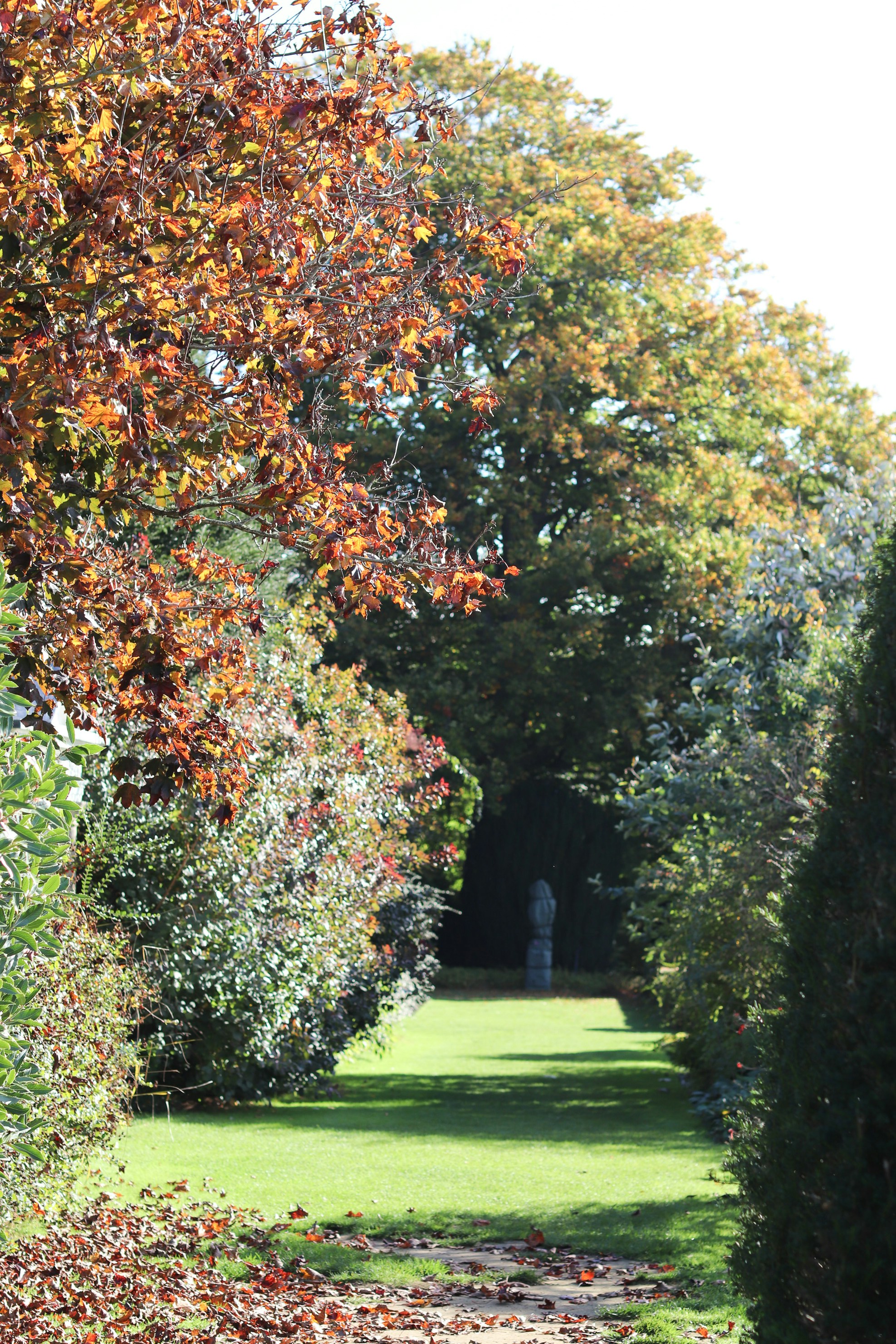 Photo by tanyabarrow