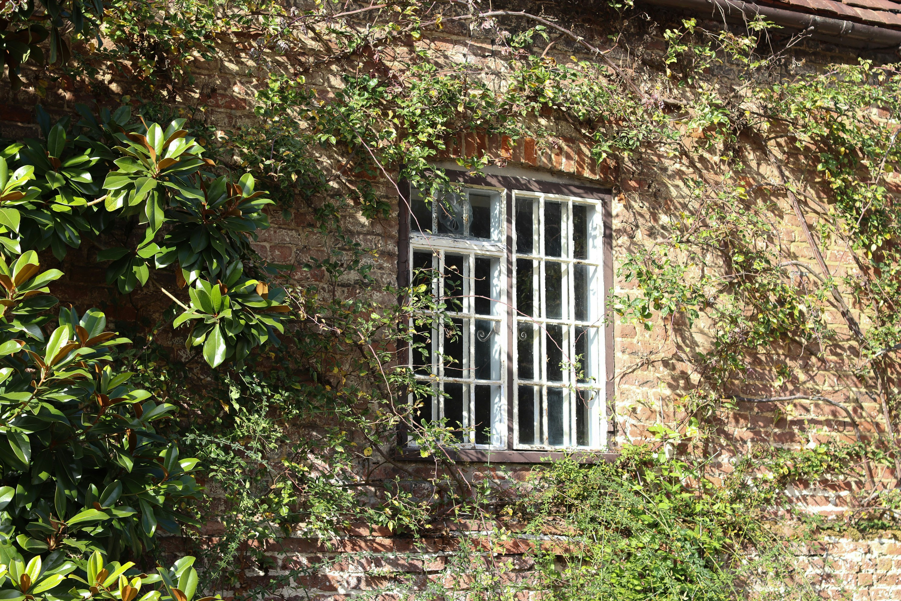 Photo by tanyabarrow