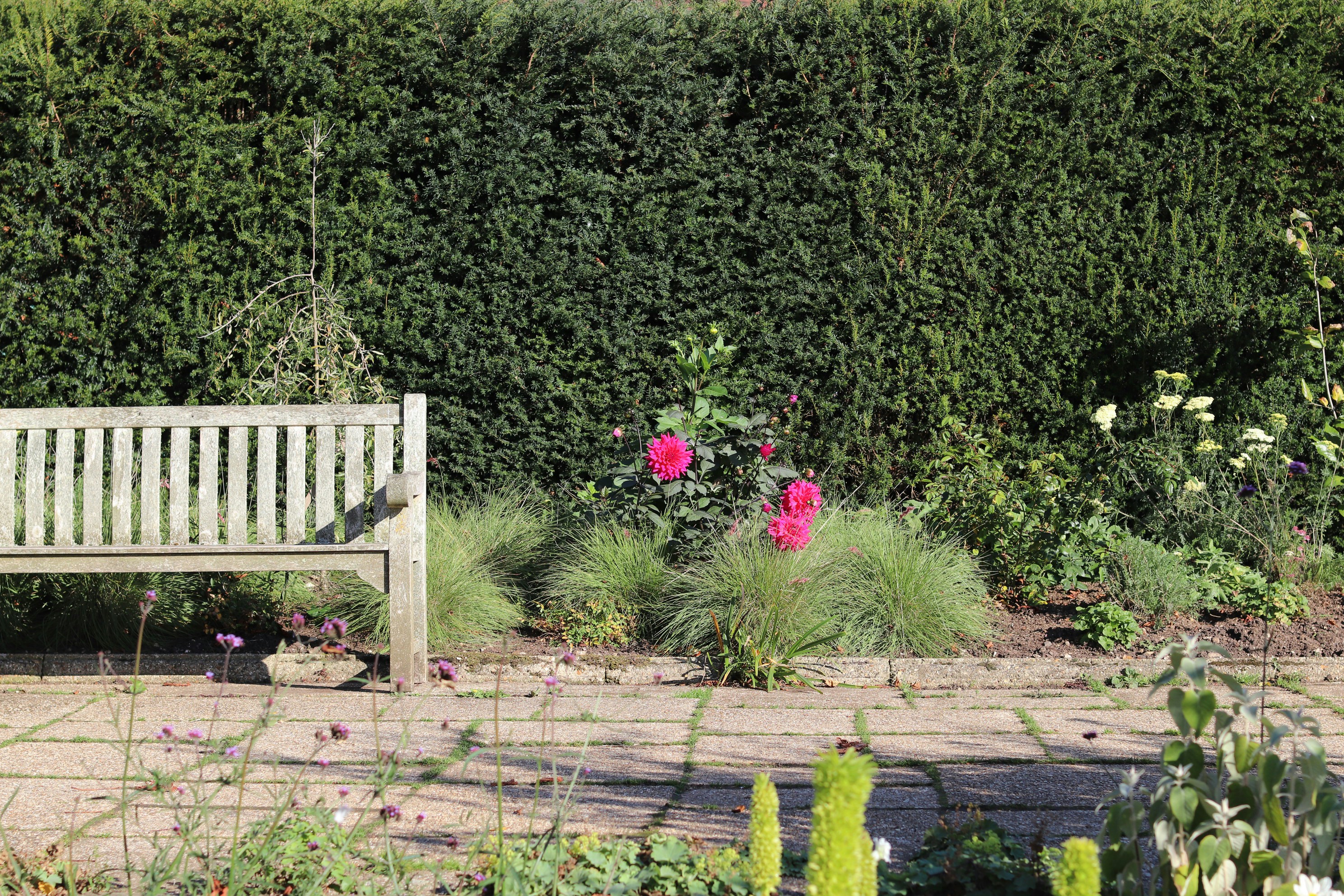 Photo by tanyabarrow