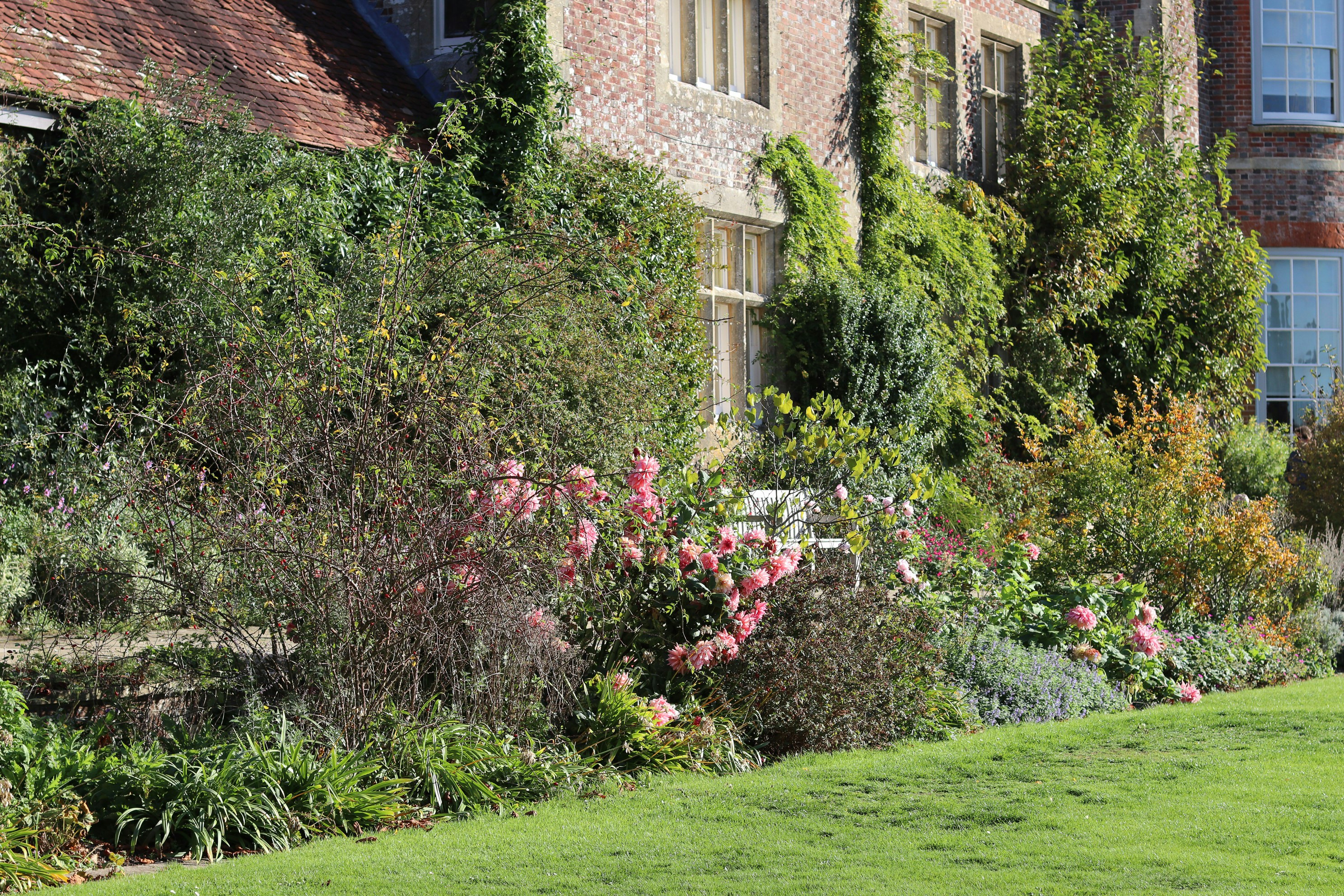 Photo by tanyabarrow