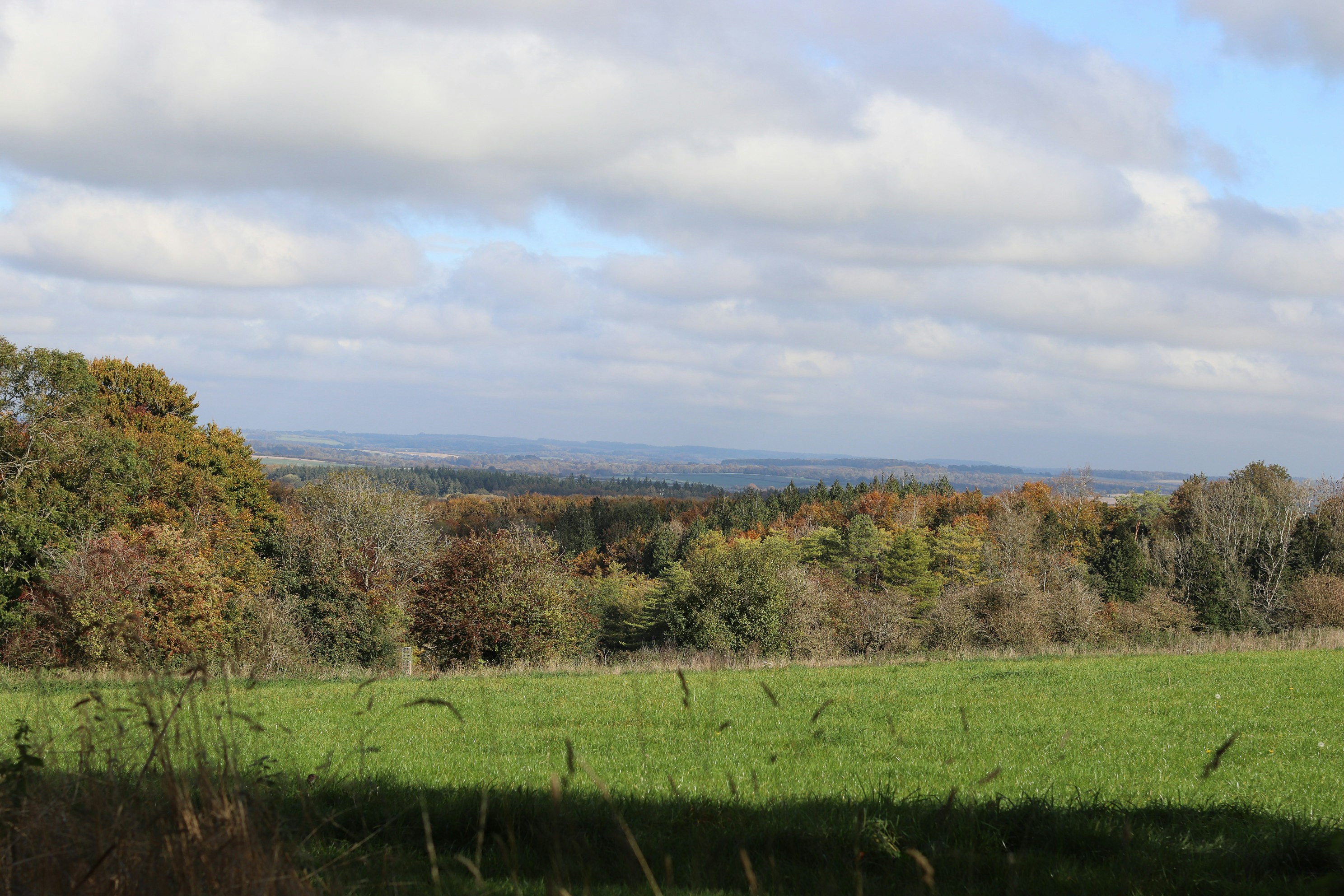 Photo by tanyabarrow